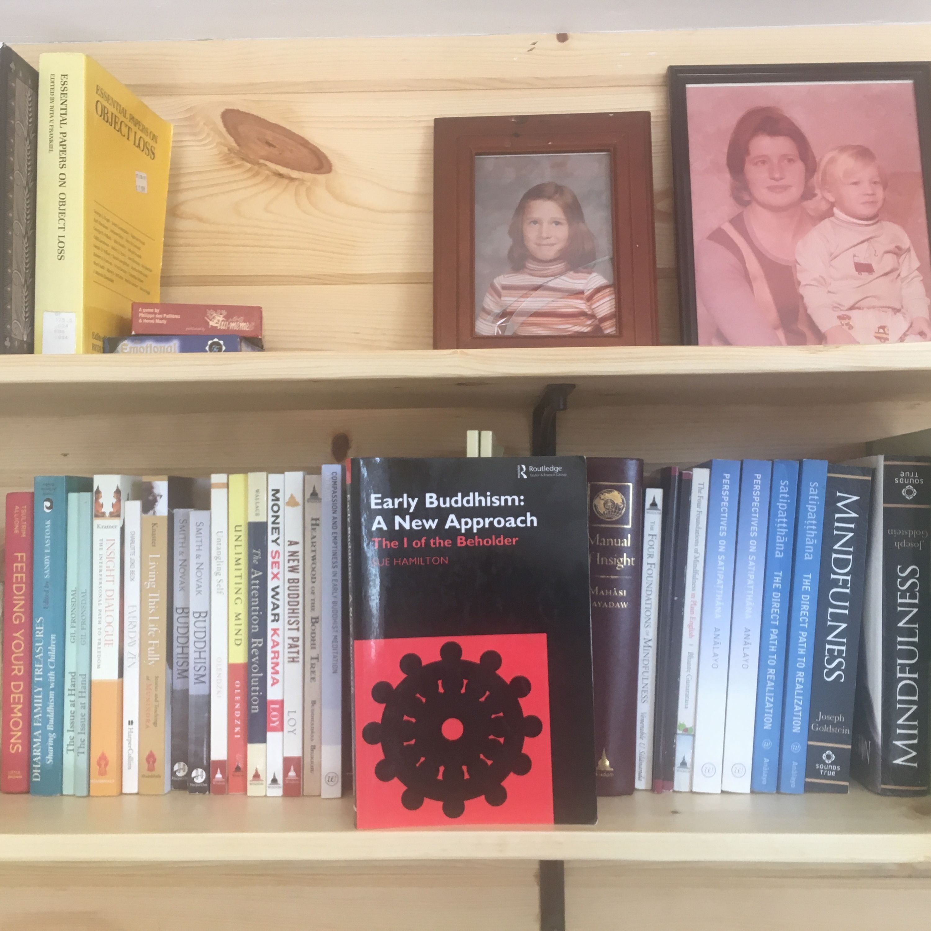 Metta Vipassana: overview talk