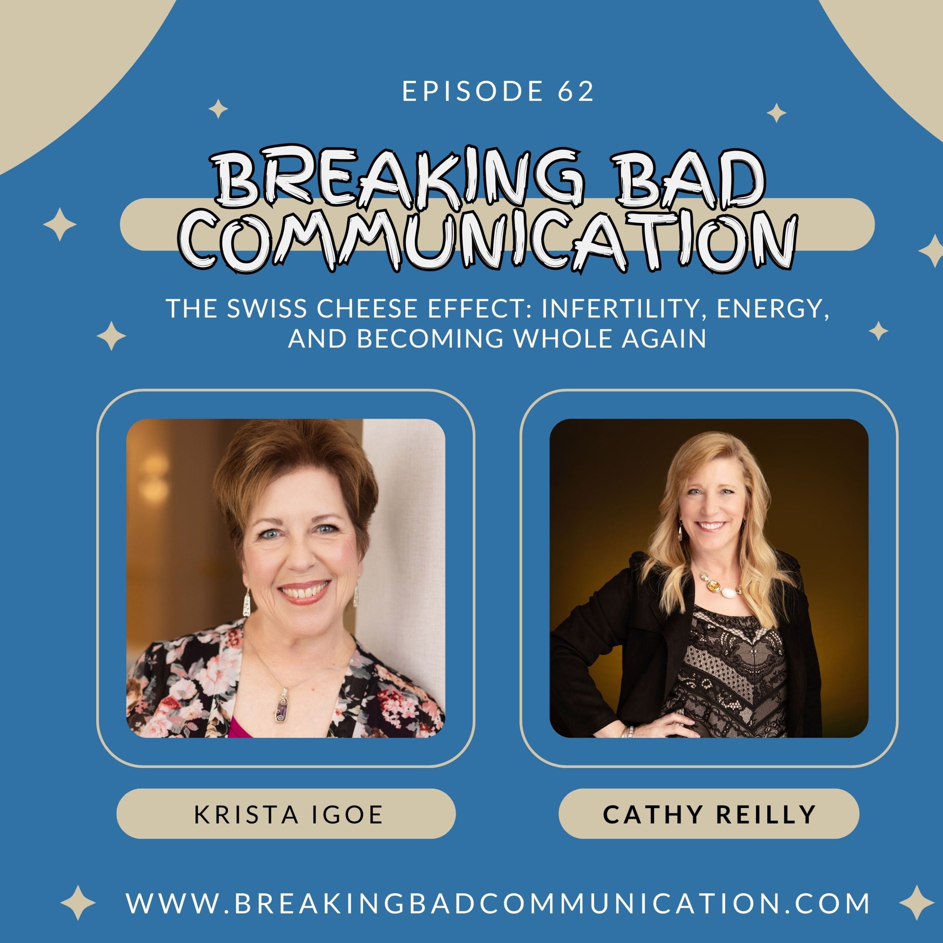 The Swiss Cheese Effect: Infertility, Energy, and Becoming Whole Again episode artwork