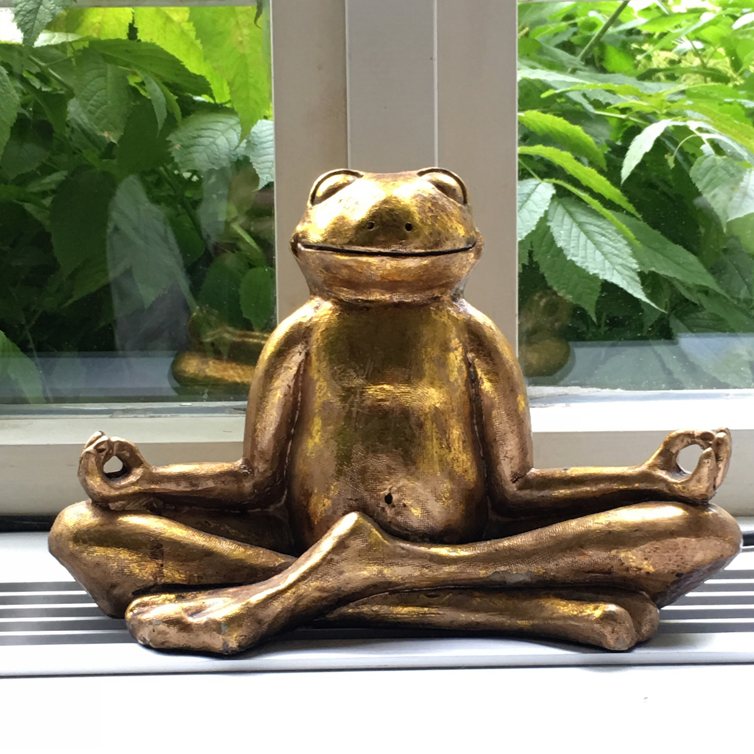 Finding Surrender and Gratitude: A Meditation Class