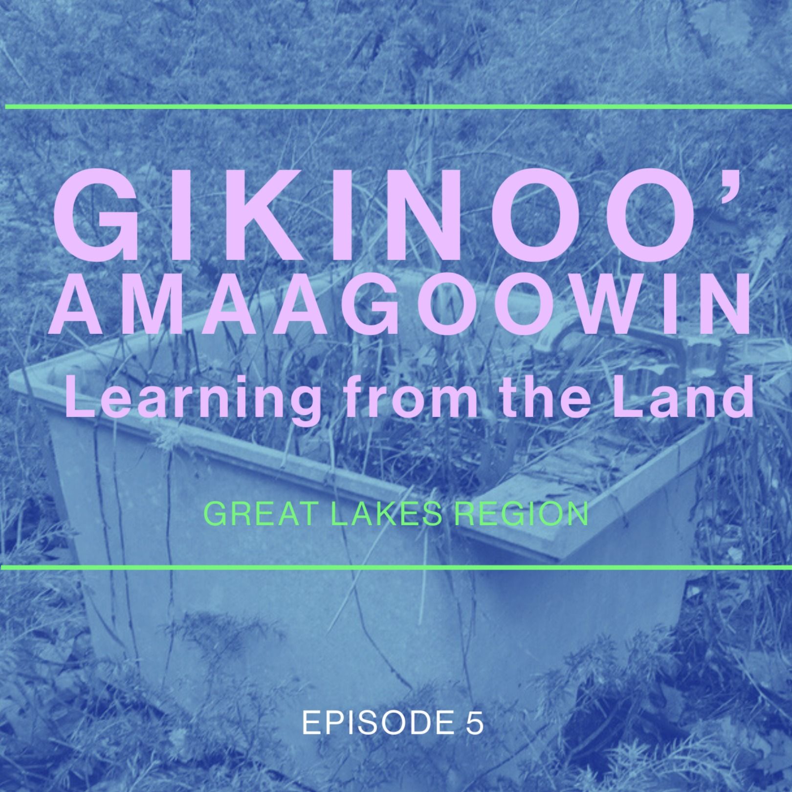 Gikinoo'amaagoowin - Learning from the Land episode artwork