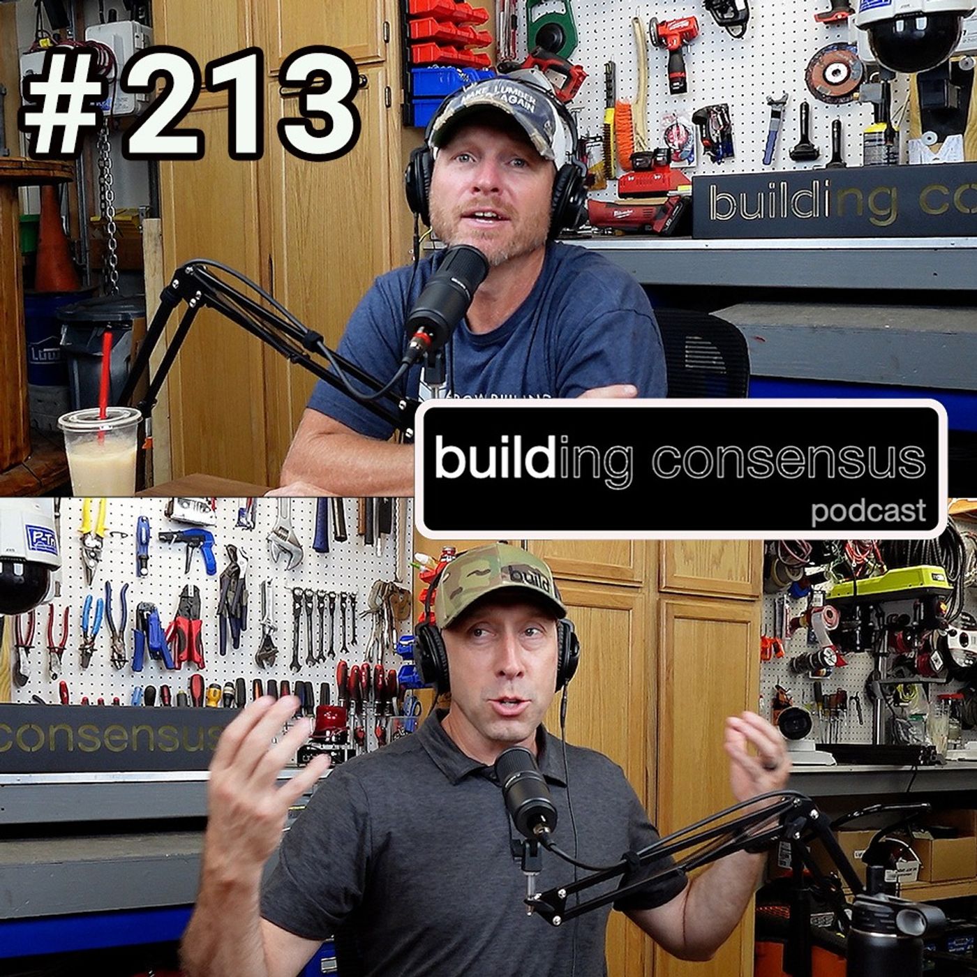 Artwork for Building Consensus