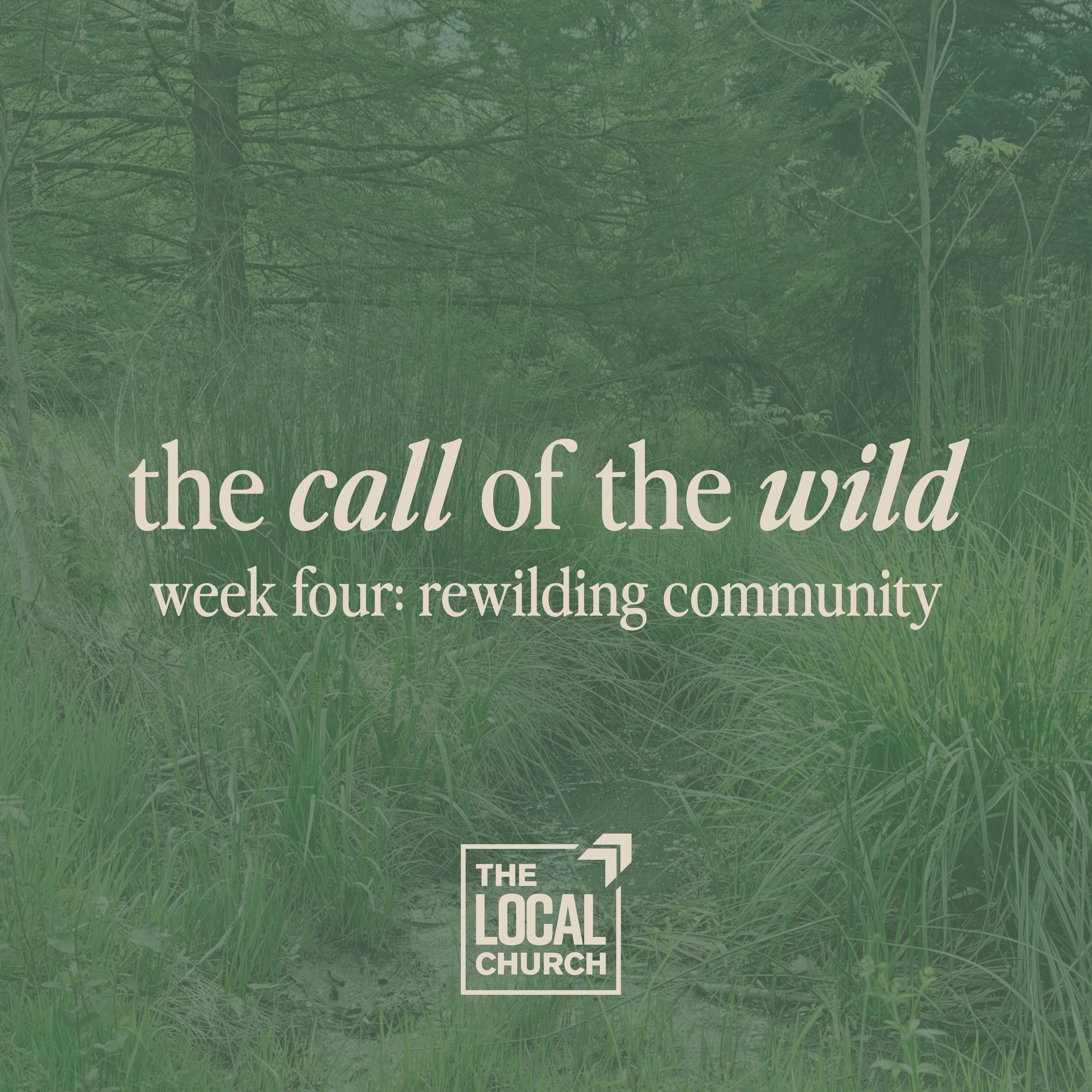 Sermon: The Call of the Wild | Week 4: Rewilding Community // Denise Honeycutt and Pat Watkins episode artwork