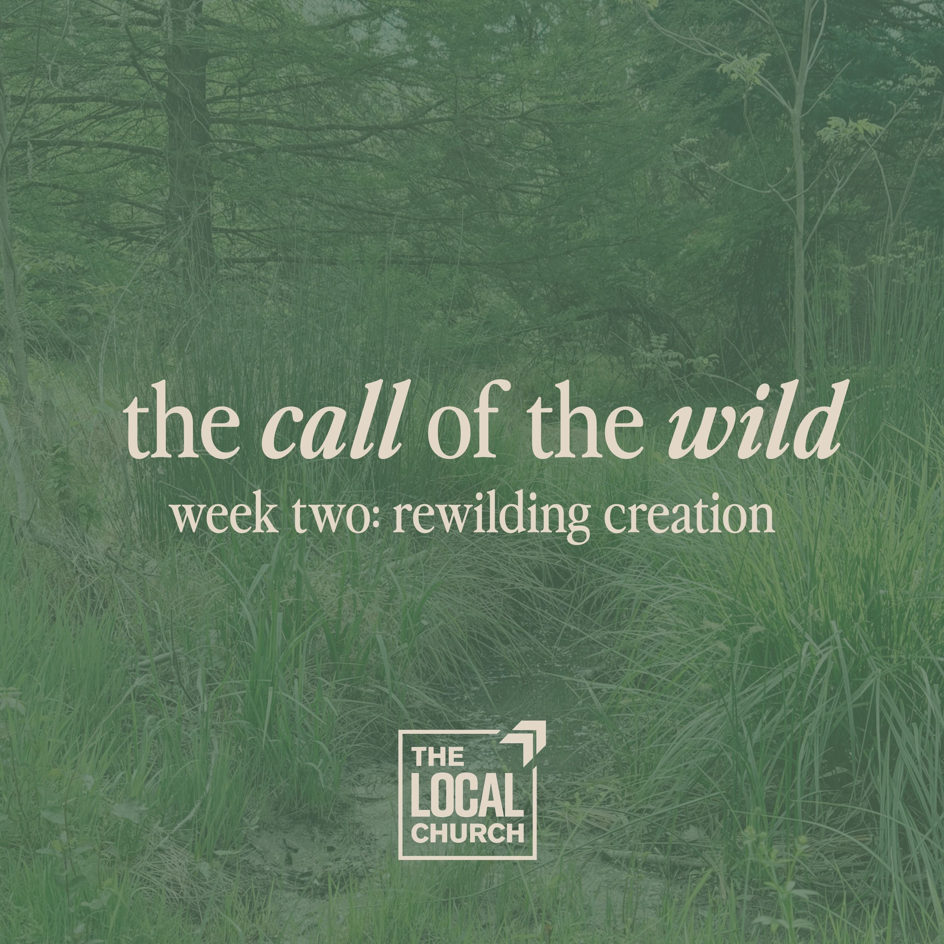 Sermon: The Call of the Wild | Week 2: Rewilding Creation // Leah Benn Miller episode artwork