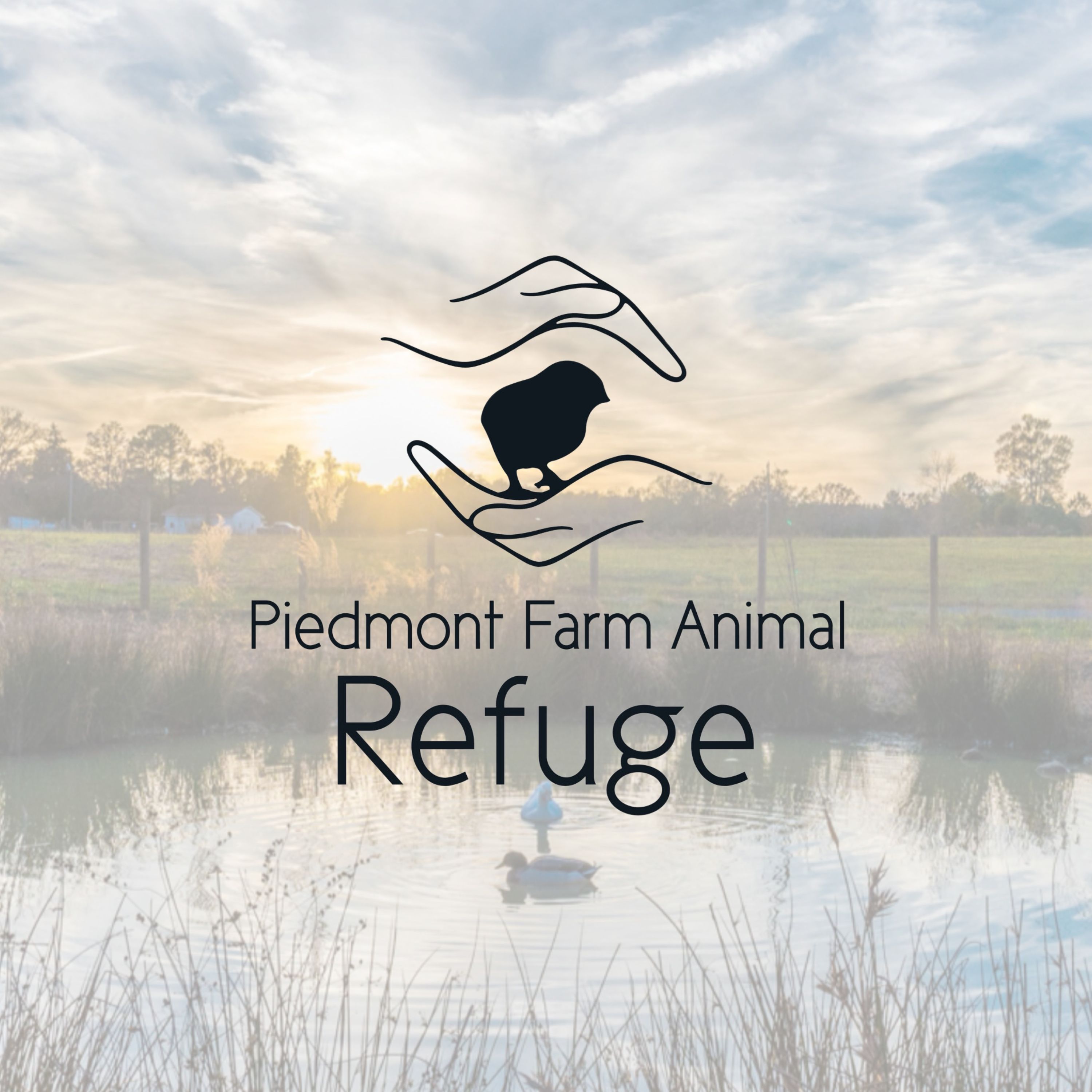 BONUS: Meet Lenore Braford from Piedmont Farm Animal Refuge episode artwork
