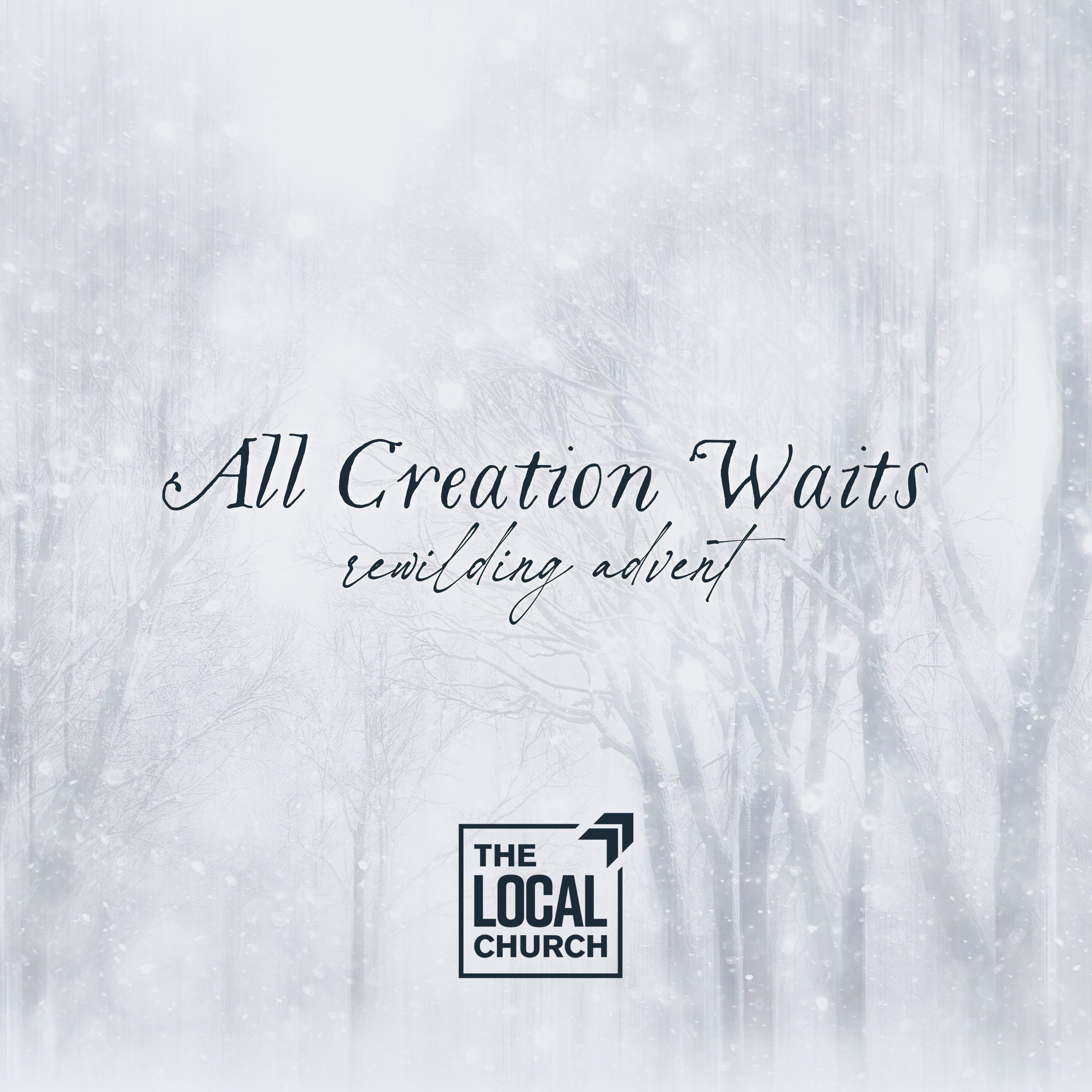 Sermon: All Creation Waits | Week 3: Waiting on Joy // Leah Benn Miller episode artwork