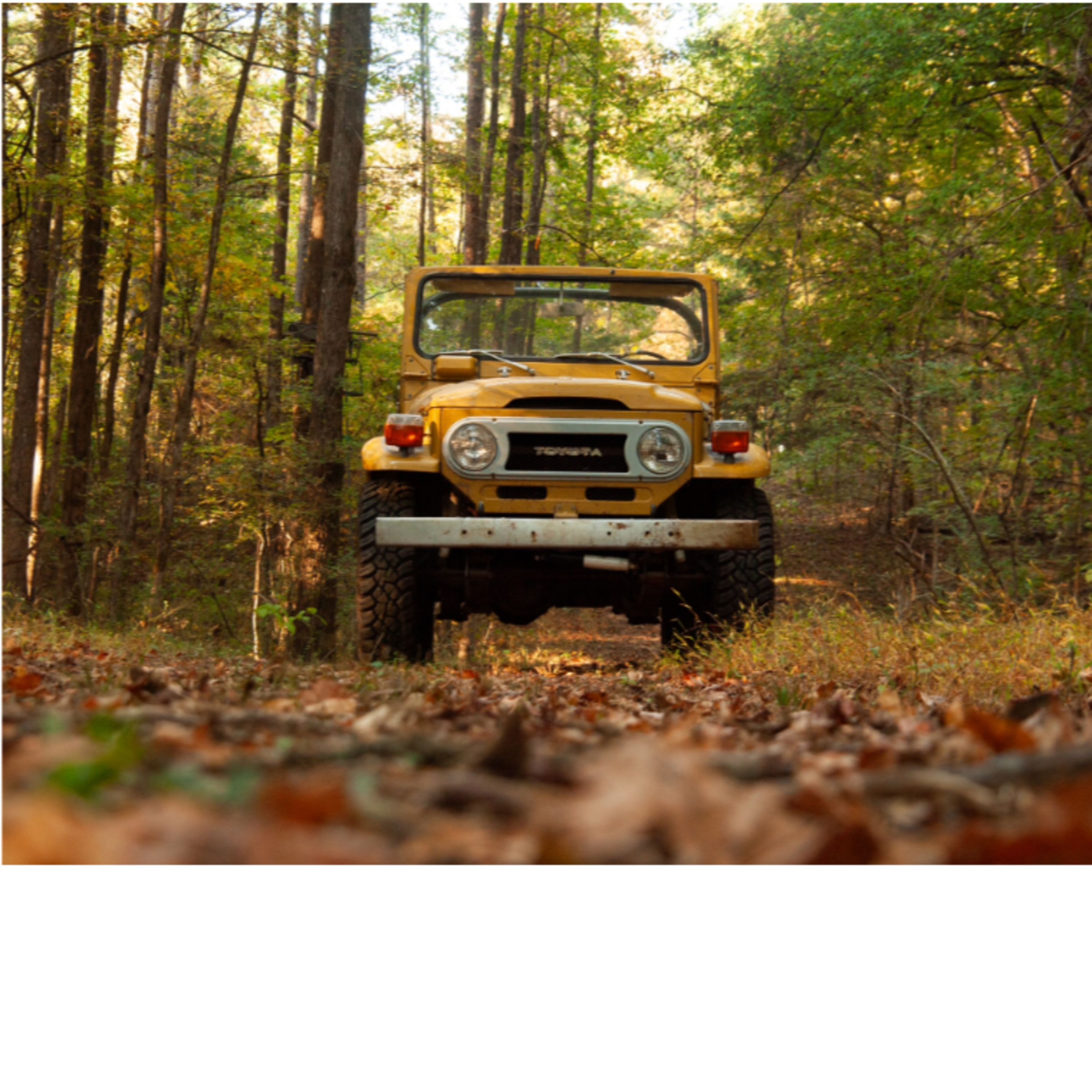 Classic Land Cruisers