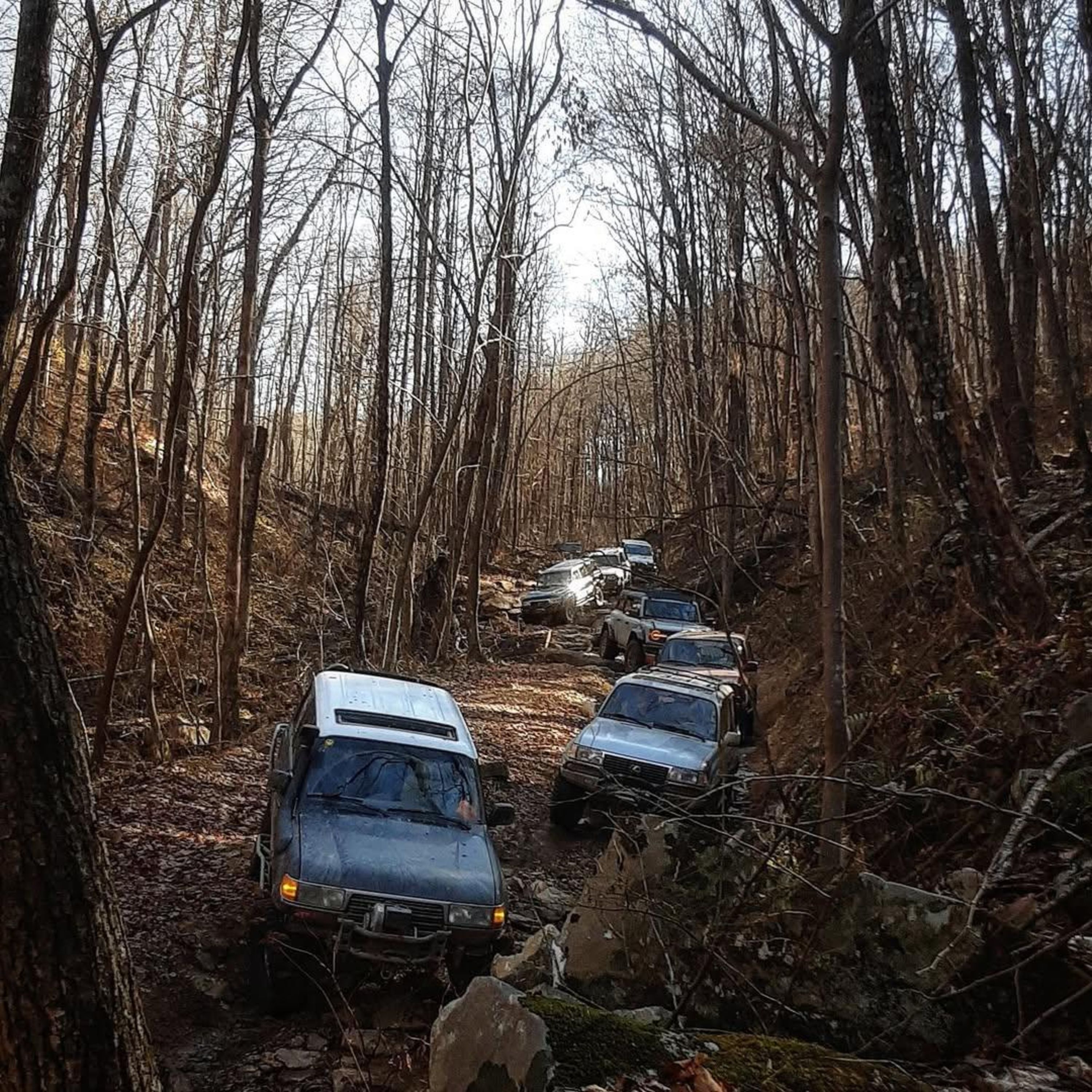 Classic Land Cruisers