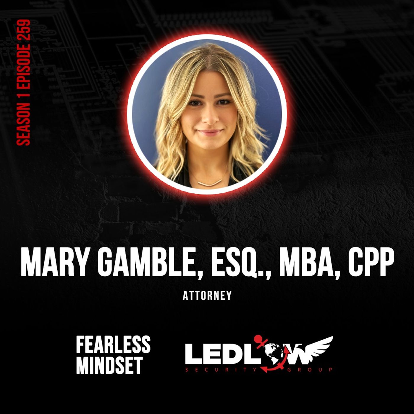 Episode 259 - Women Rising in Security: Lessons from the Frontlines of Change