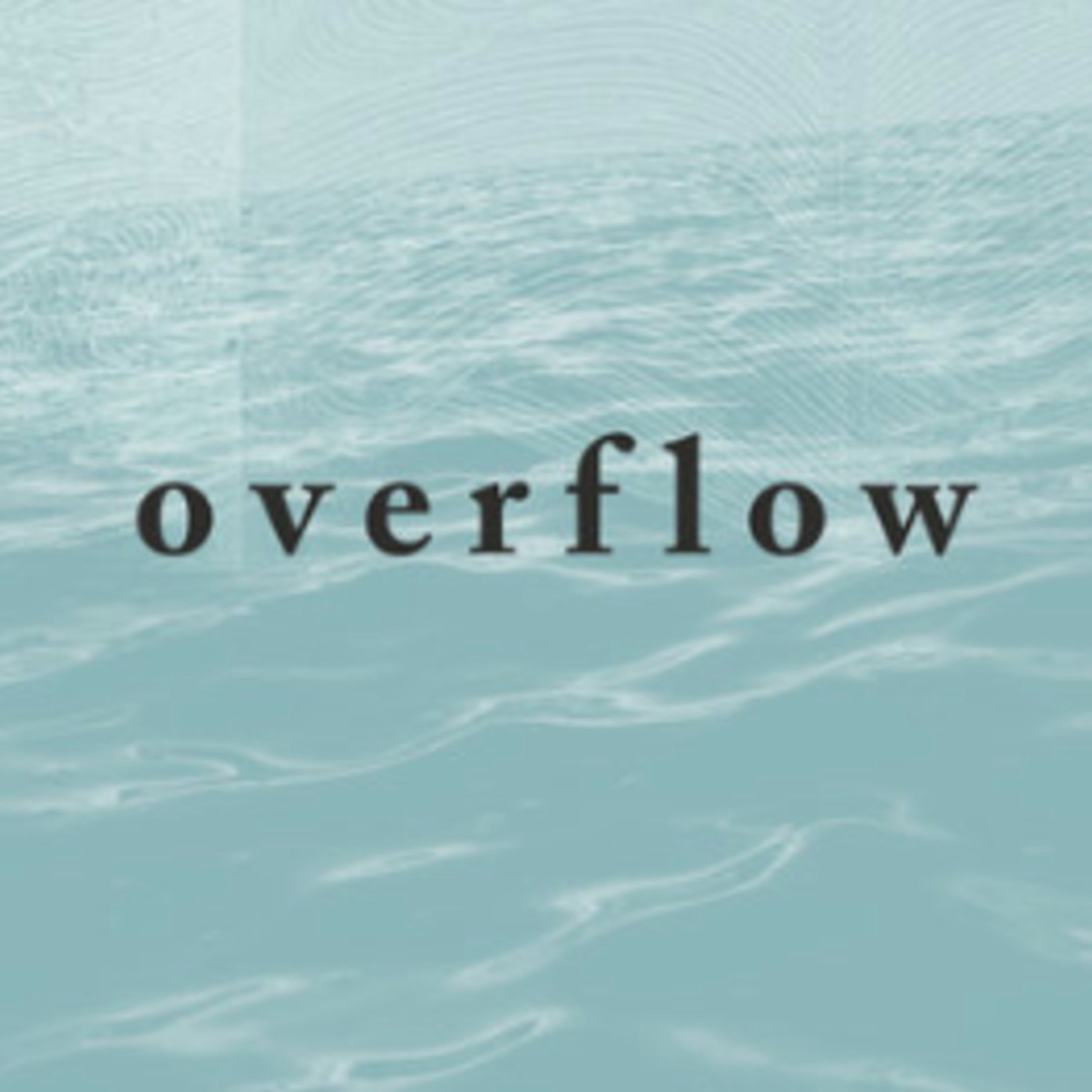Overflow : Step Into the Flow episode artwork