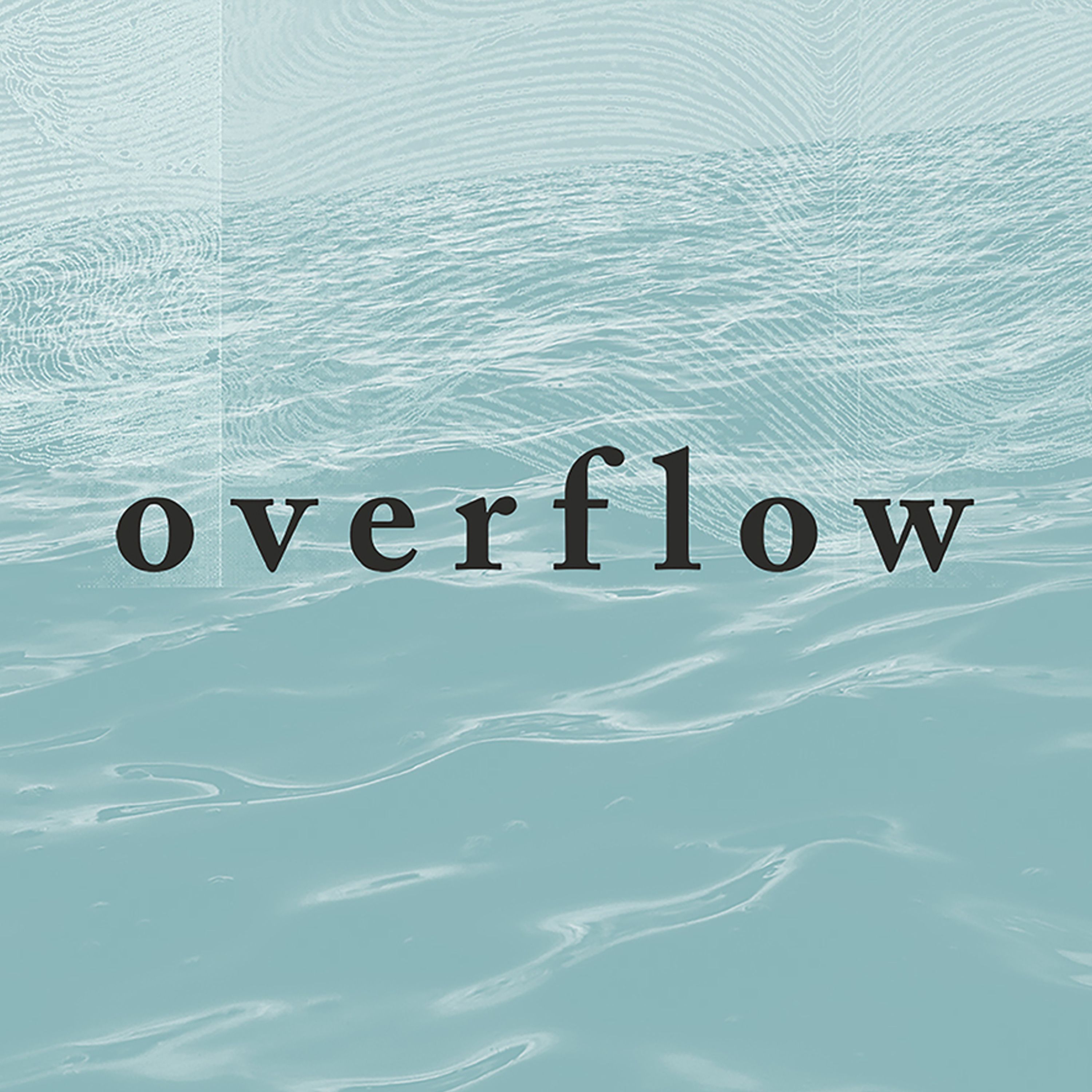 Overflow : The Pursuit of Happiness episode artwork