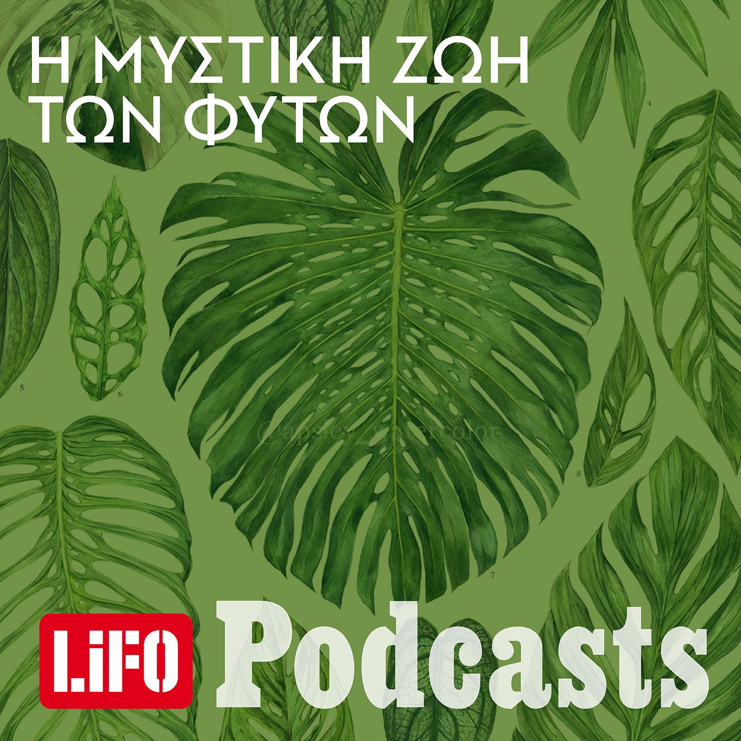 Πώς είναι να μοιράζεσαι τη ζωή σου με 100 και βάλε φυτά;