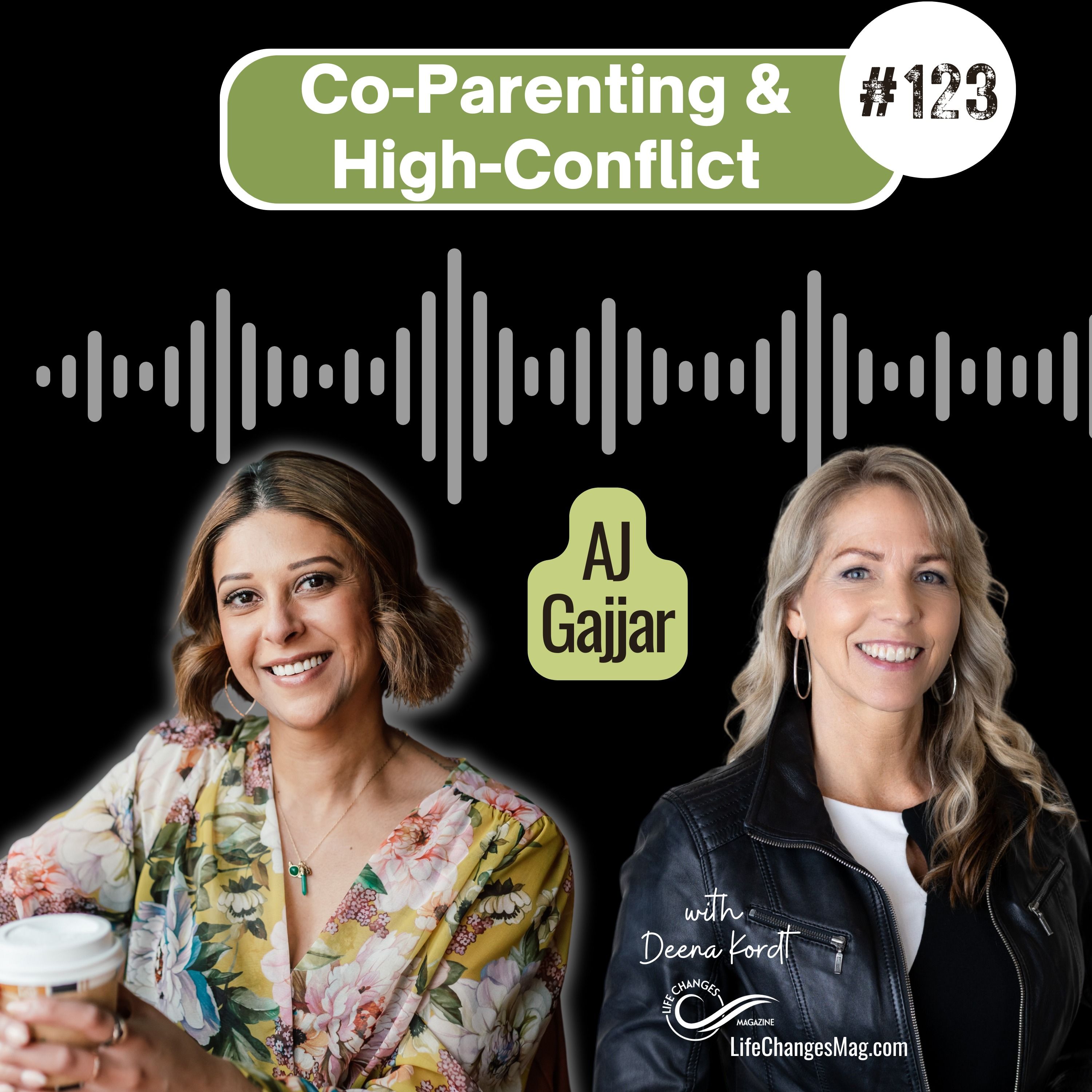 #123 Hope in Hell: Co-Parenting & High Conflict. With AJ Gajjar