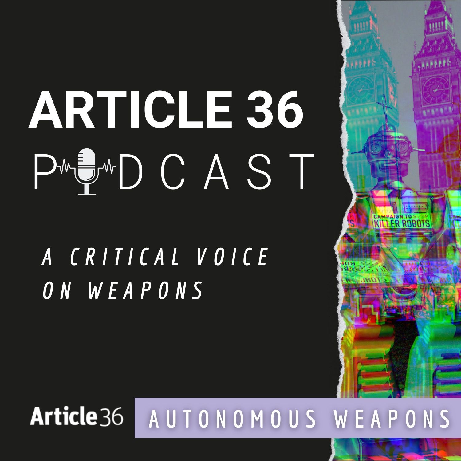 Regulating autonomy in weapon systems: Latin American and Caribbean leadership, ReAim and the CCW