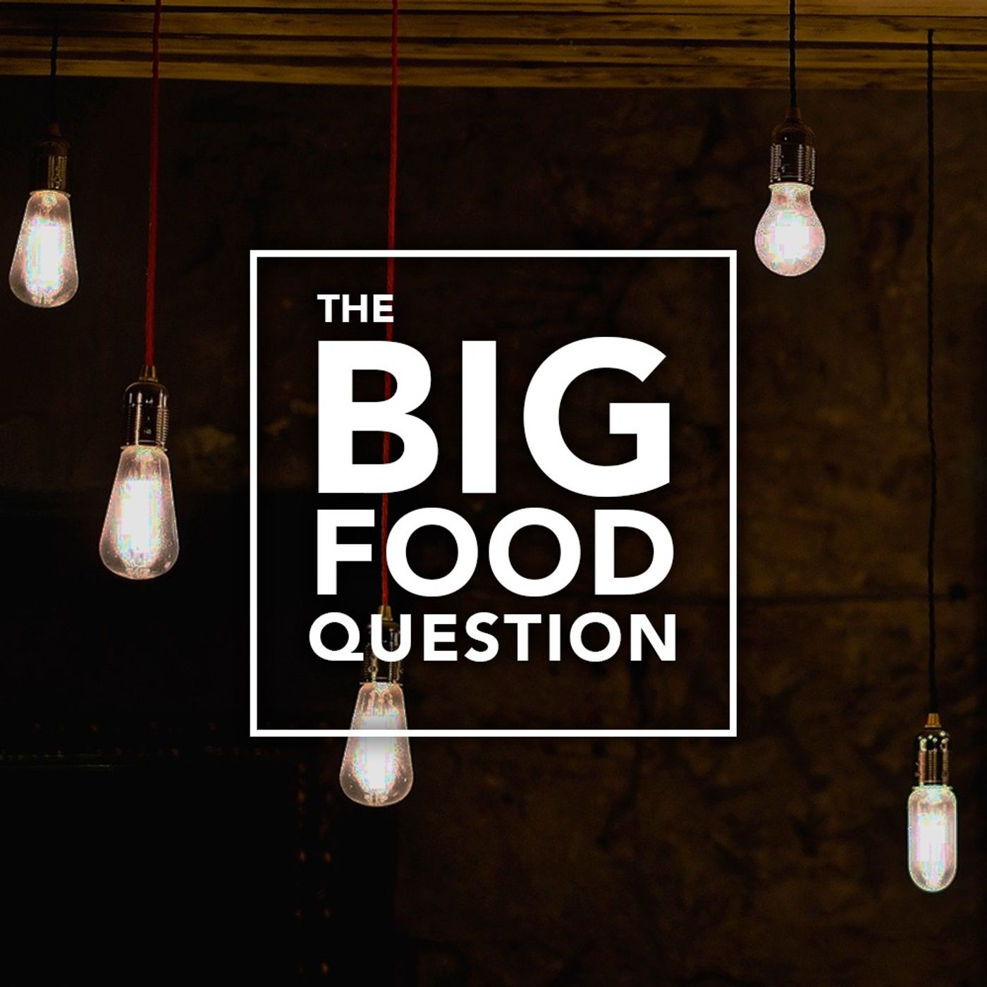 The Big Food Question