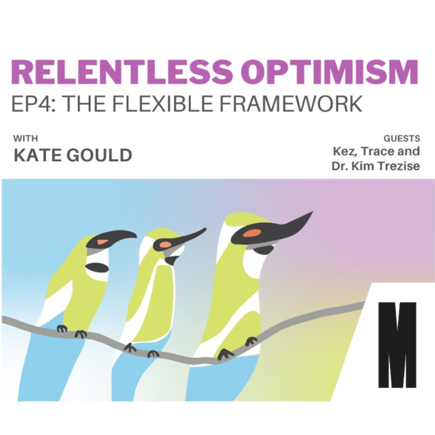 Episode 4: A Flexible Framework