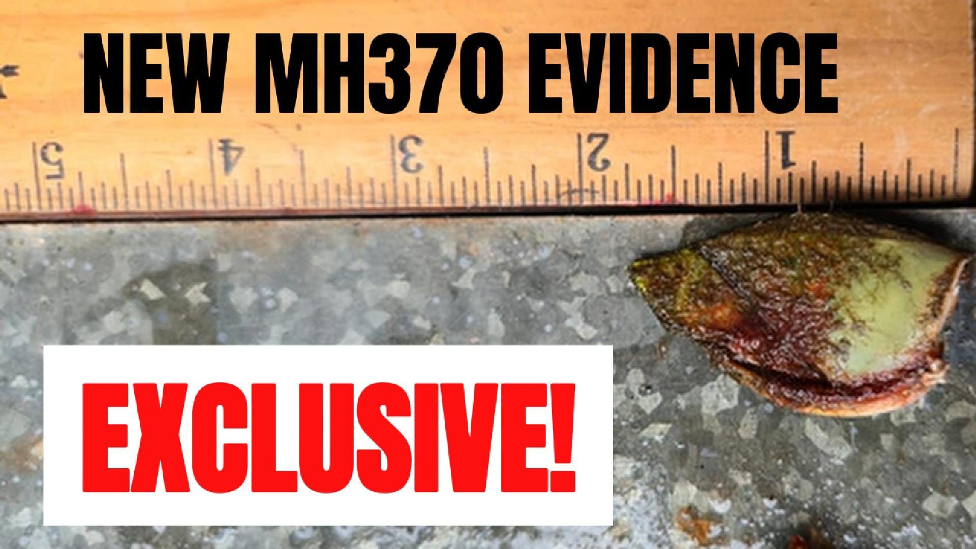 New MH370 Evidence from the Sea [S2Ep38 audio]