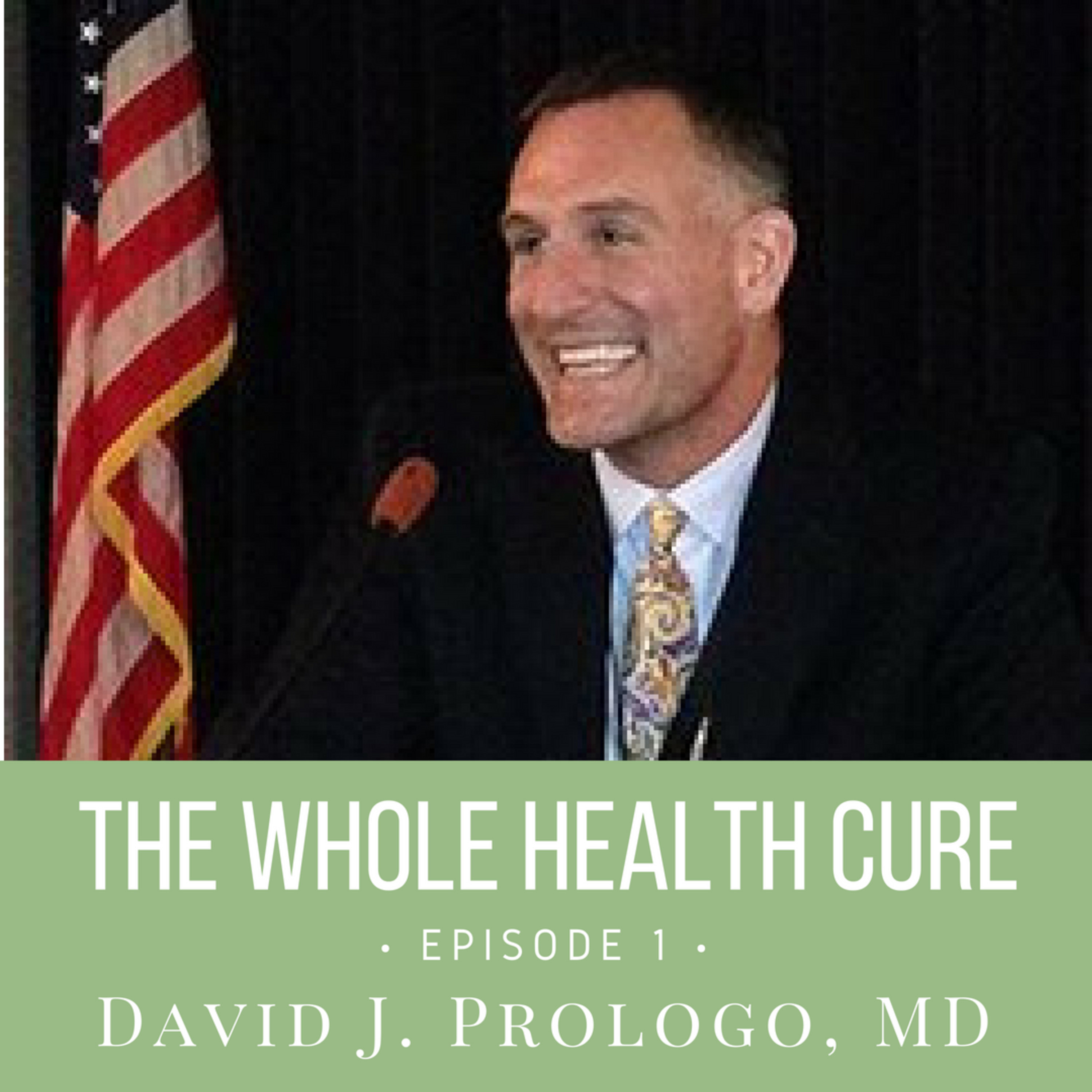The Whole Health Cure
