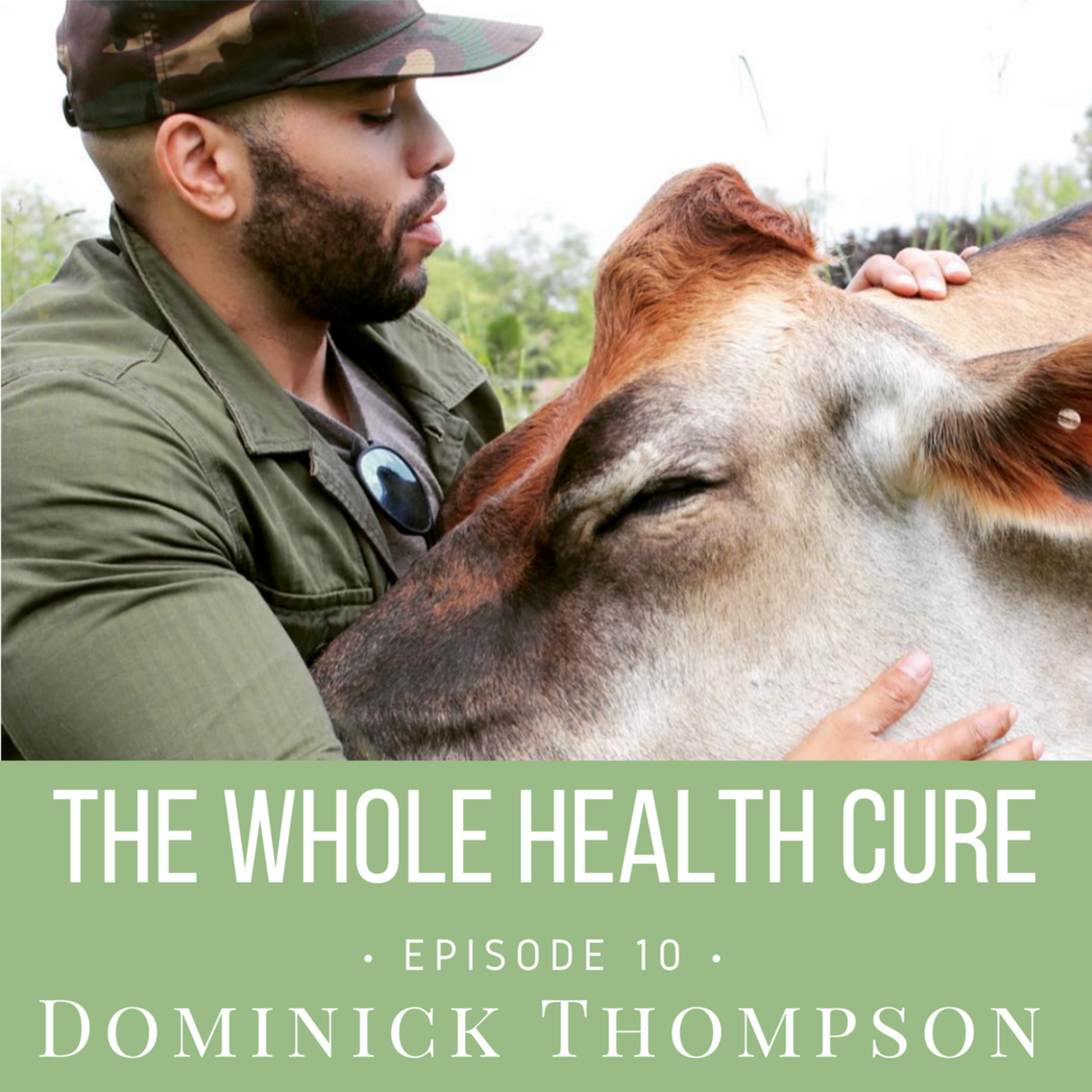 The Whole Health Cure