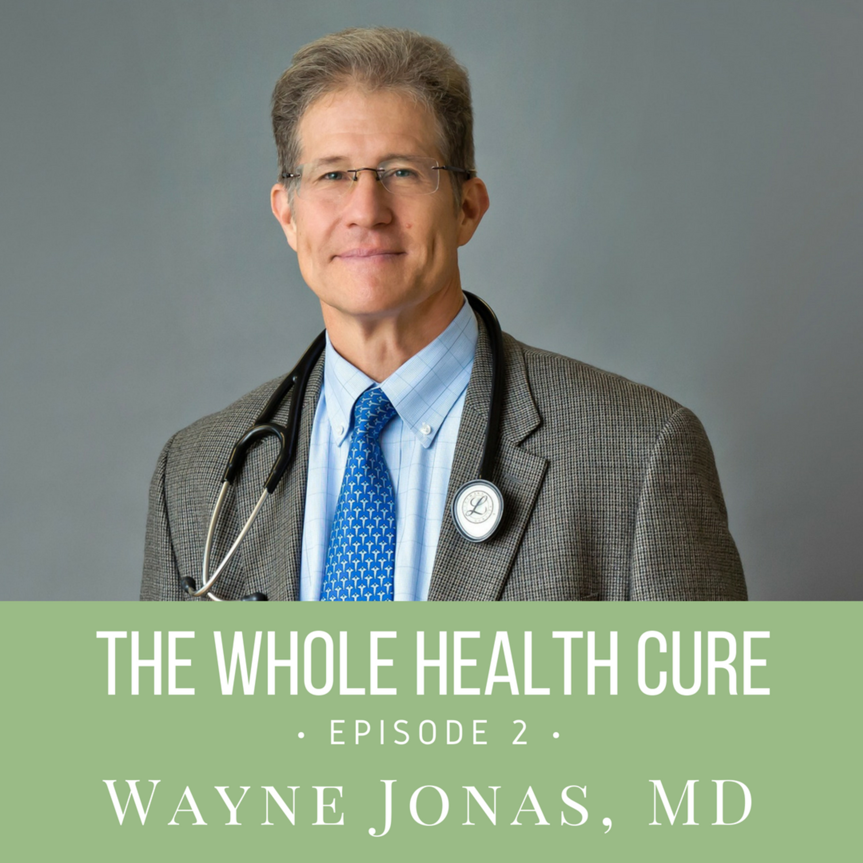 The Whole Health Cure