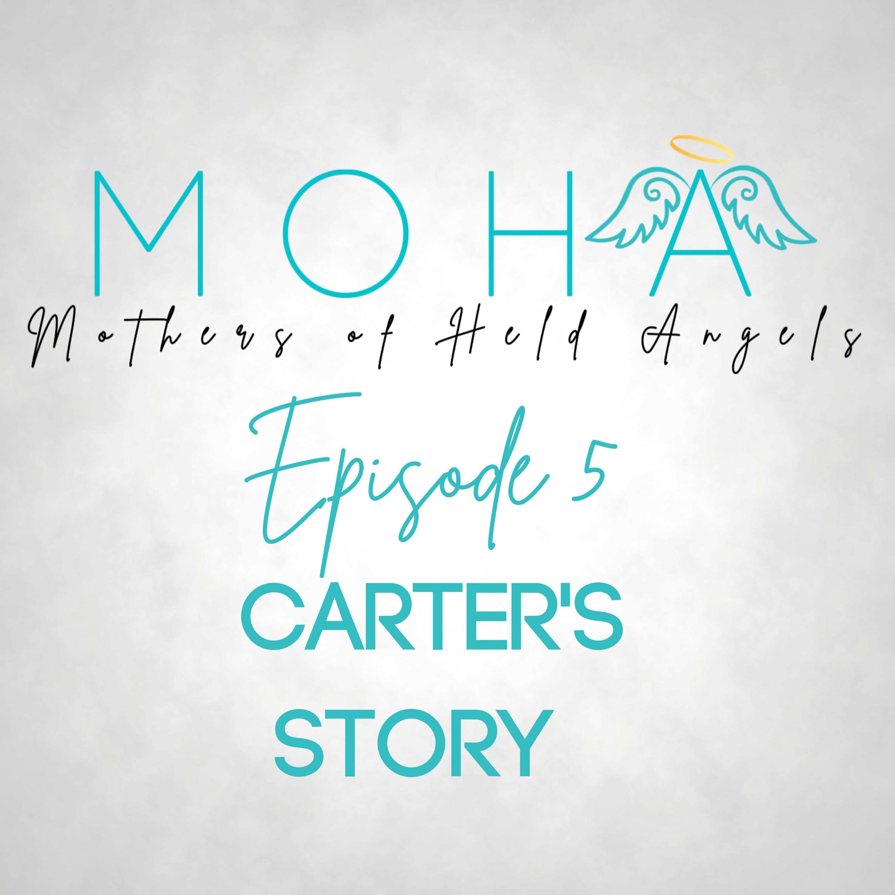 MOHA Network