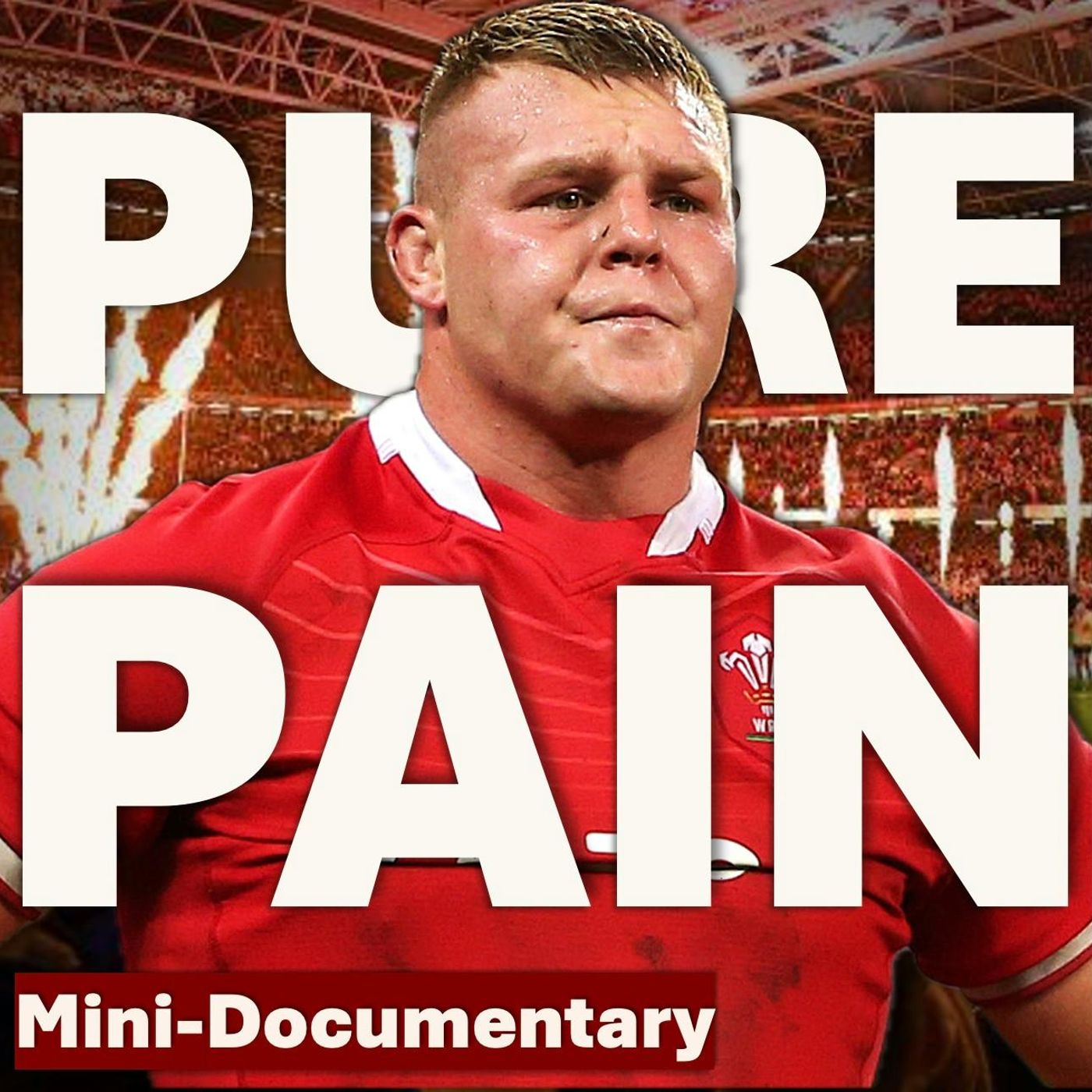The Most Miserable Game Of Rugby Ever? - Watching South Africa Destroy Wales.