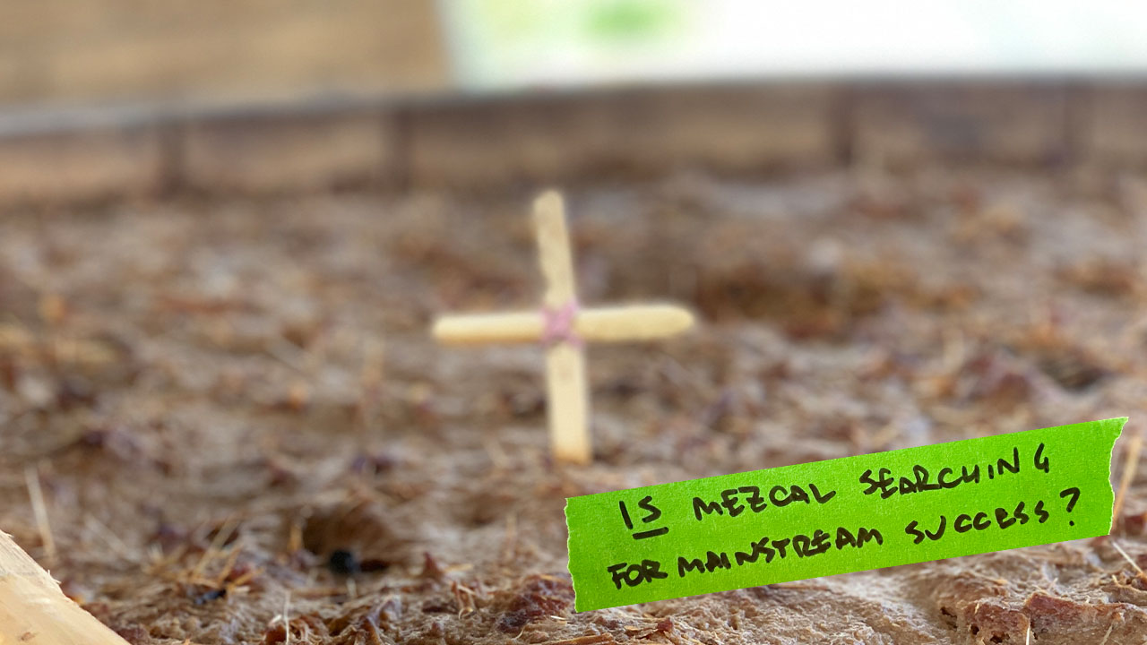 Is Mezcal searching for mainstream success?