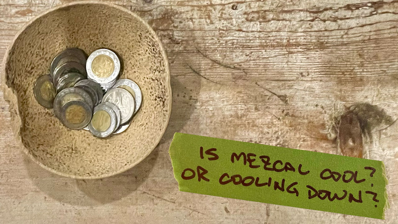 Is Mezcal cool? Or cooling down?
