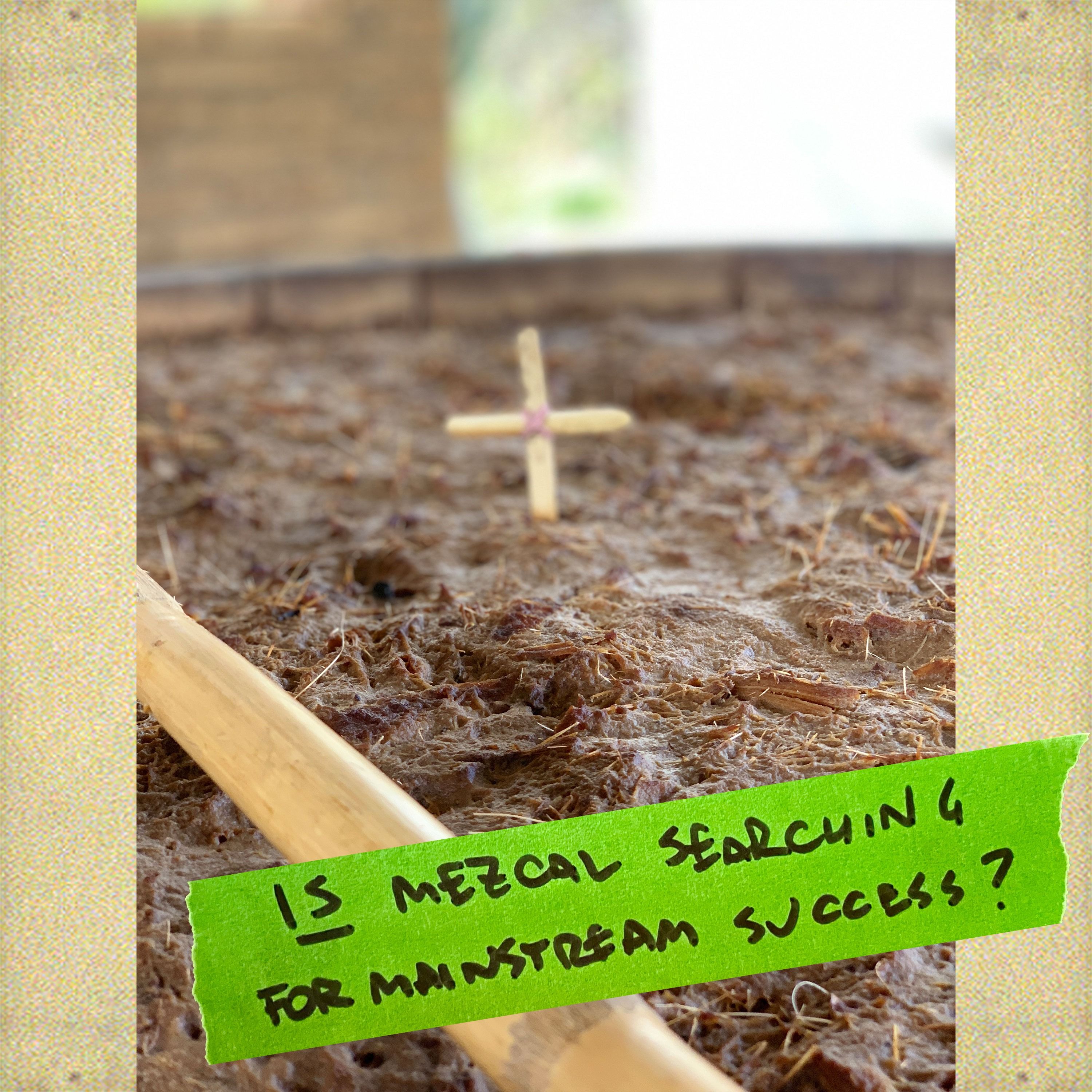 Play Is Mezcal searching for mainstream success?