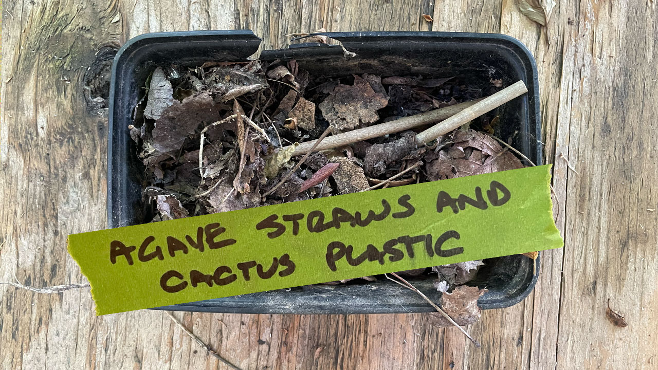 Agave straws and cactus plastic