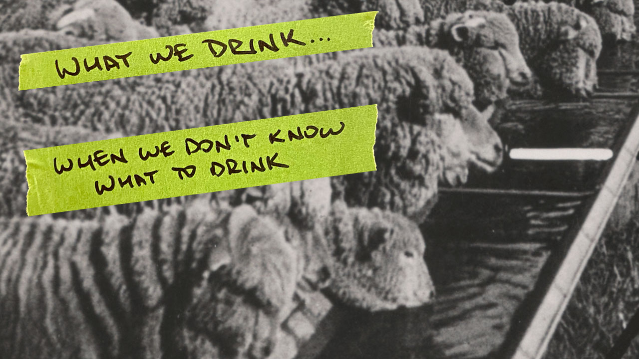 What we drink when we don't know what to drink