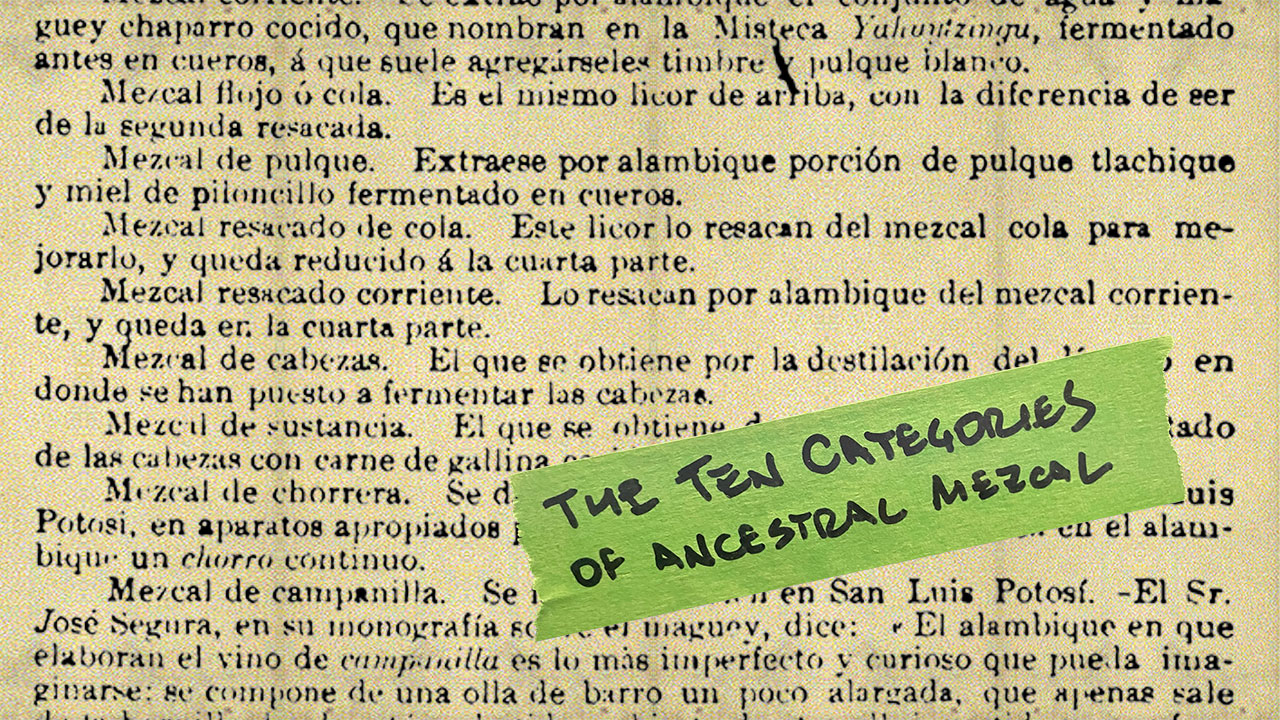 The ten categories of ancestral mezcal