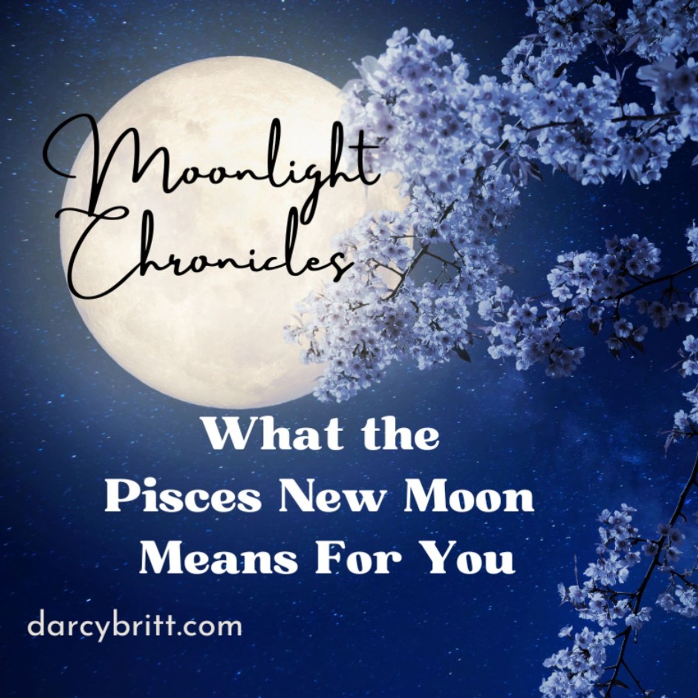 Moonlight Chronicles: Your Guide to the 2025 Pisces New Moon
