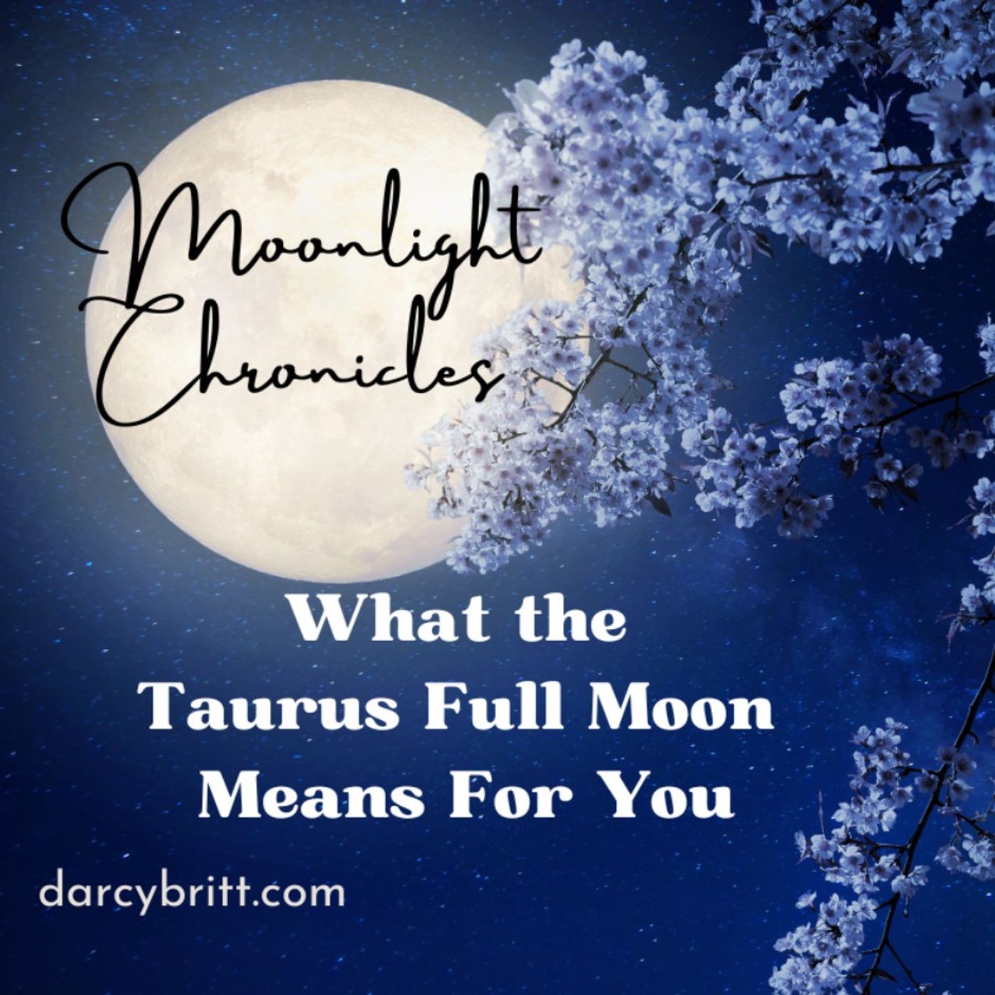 Moonlight Chronicles: Working with the Full Moon in Taurus