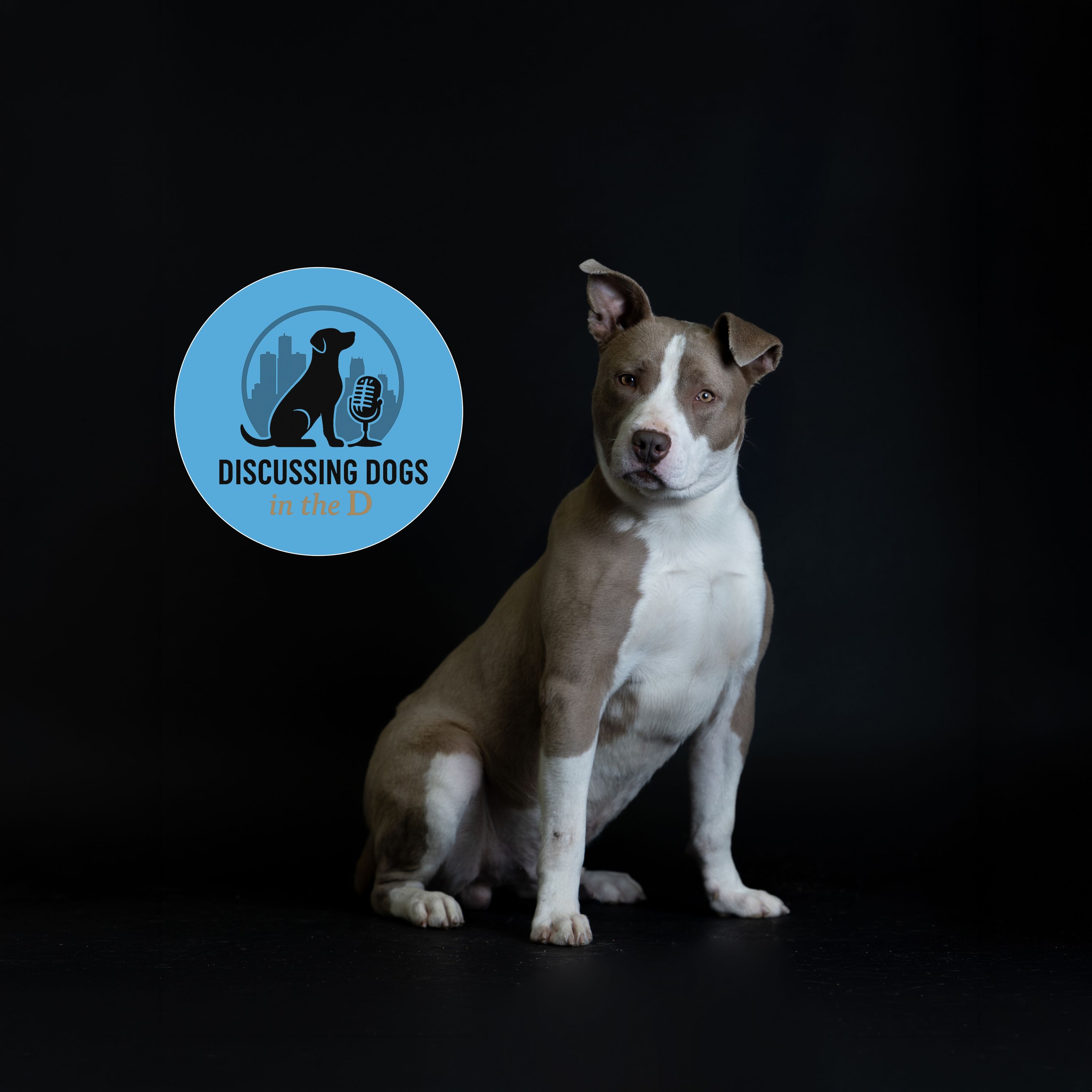 Discussing Dogs in the D