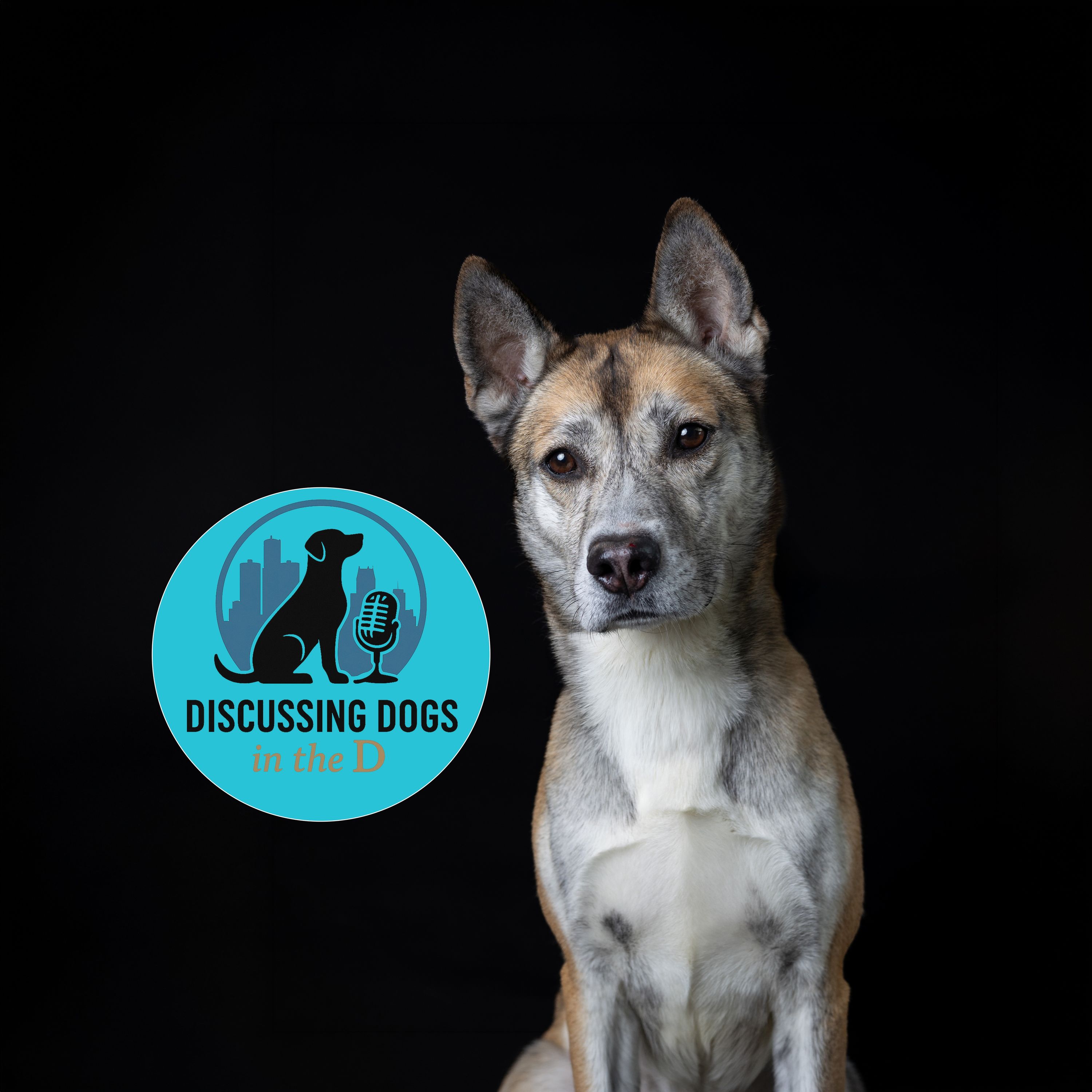 Lead Veterinarians for the CopperDog Sled Race