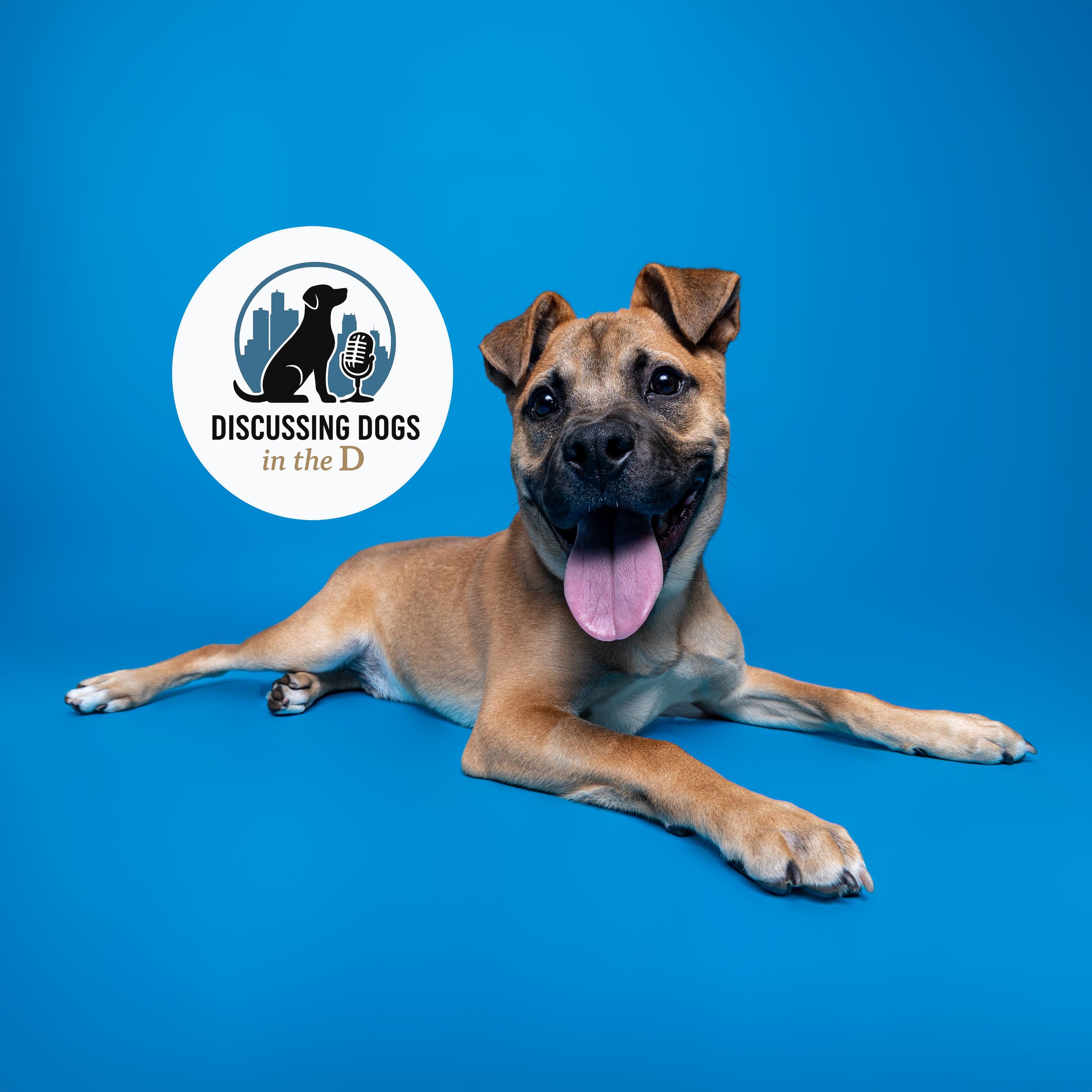 Michelle Mullen - Michigan Animal Welfare Organization (MiAWF)