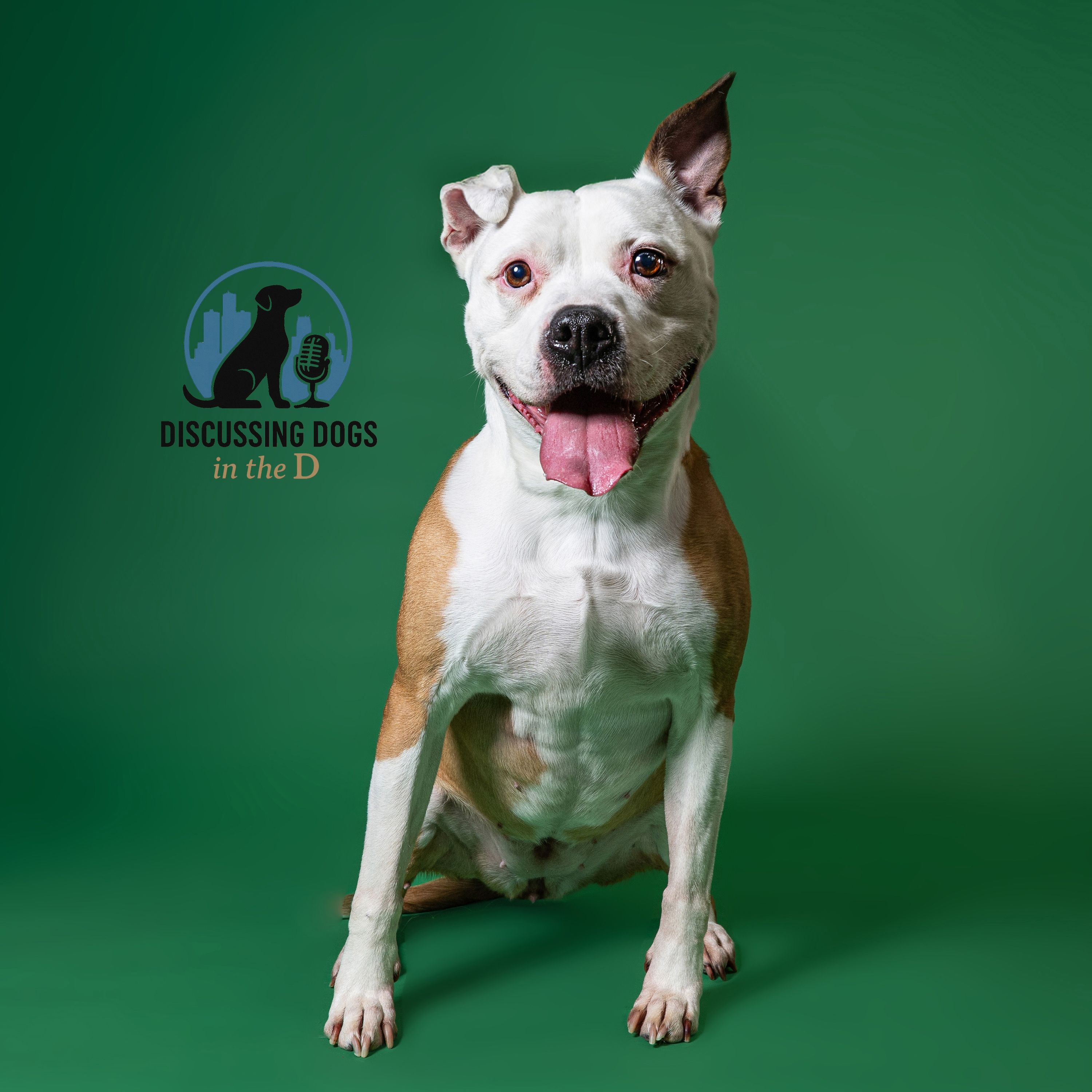 Hoarding Cases - Breaking News