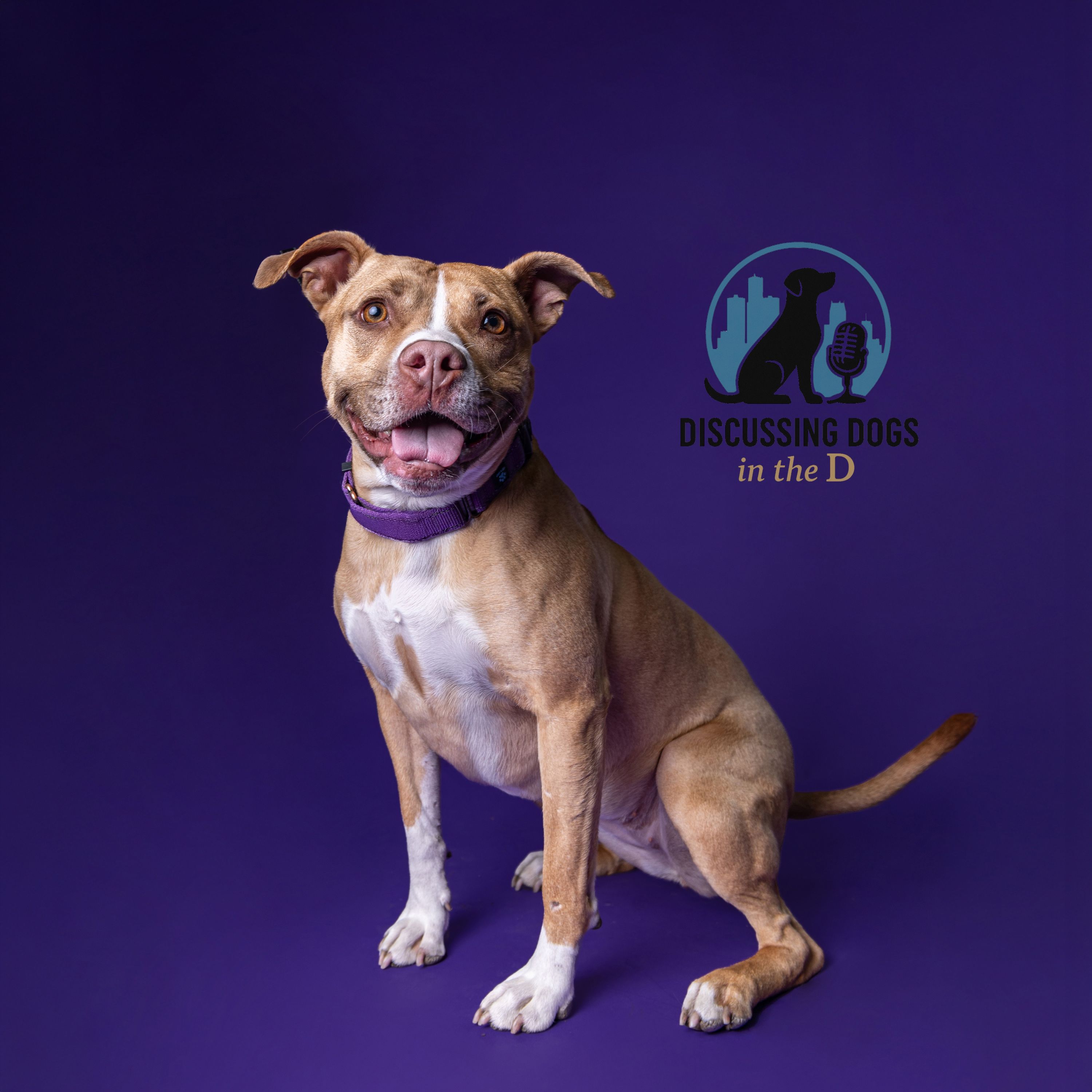 Sabrina Stigell - Premier Pet Supply