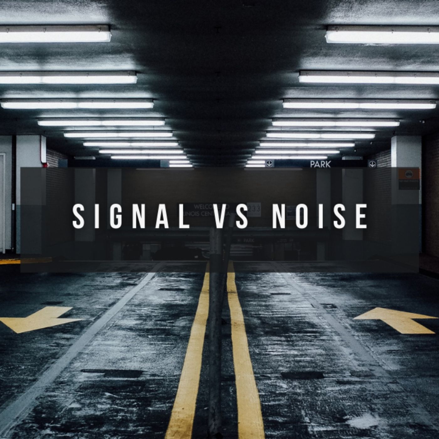 Signal vs. Noise