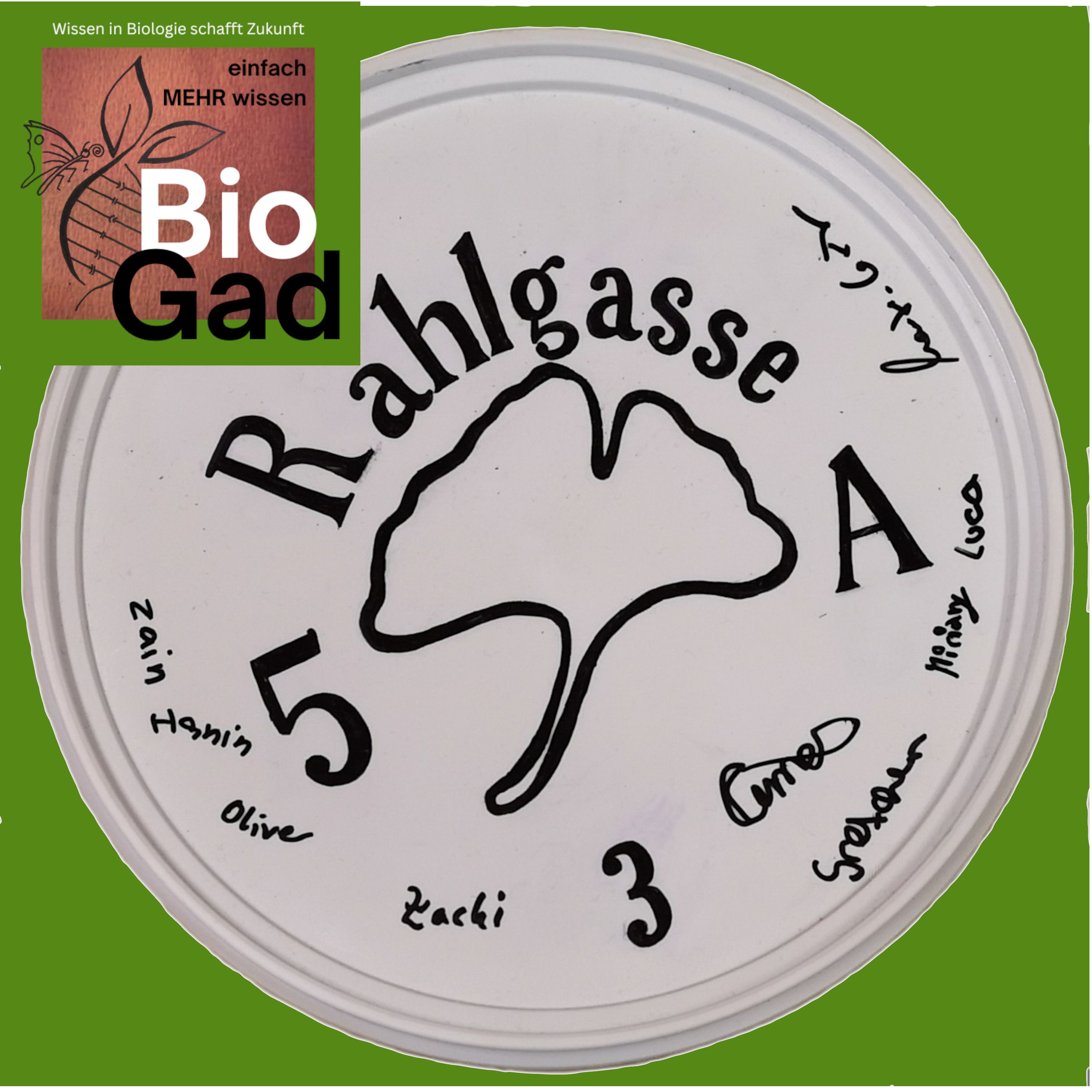 BioGad
