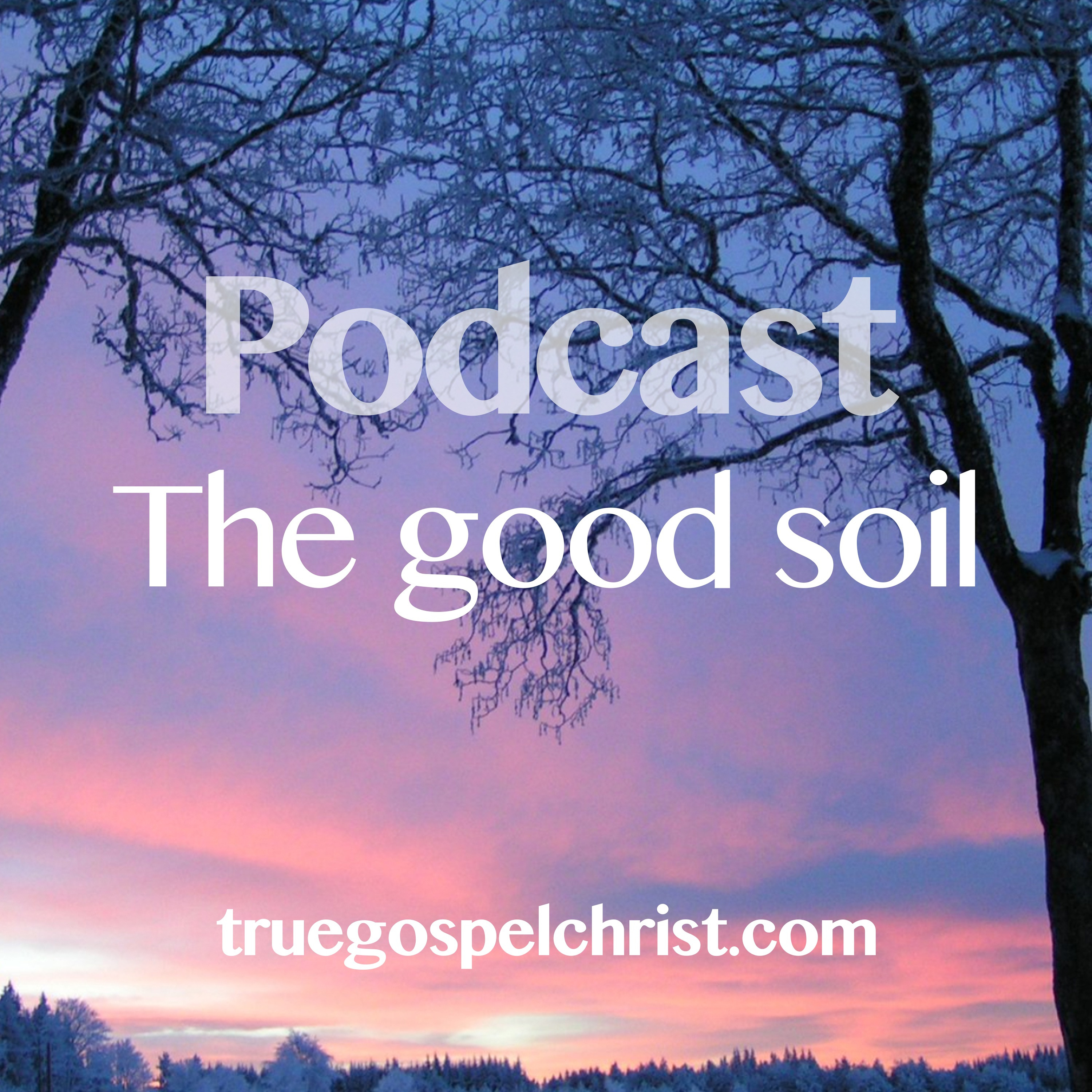 The Good Soil