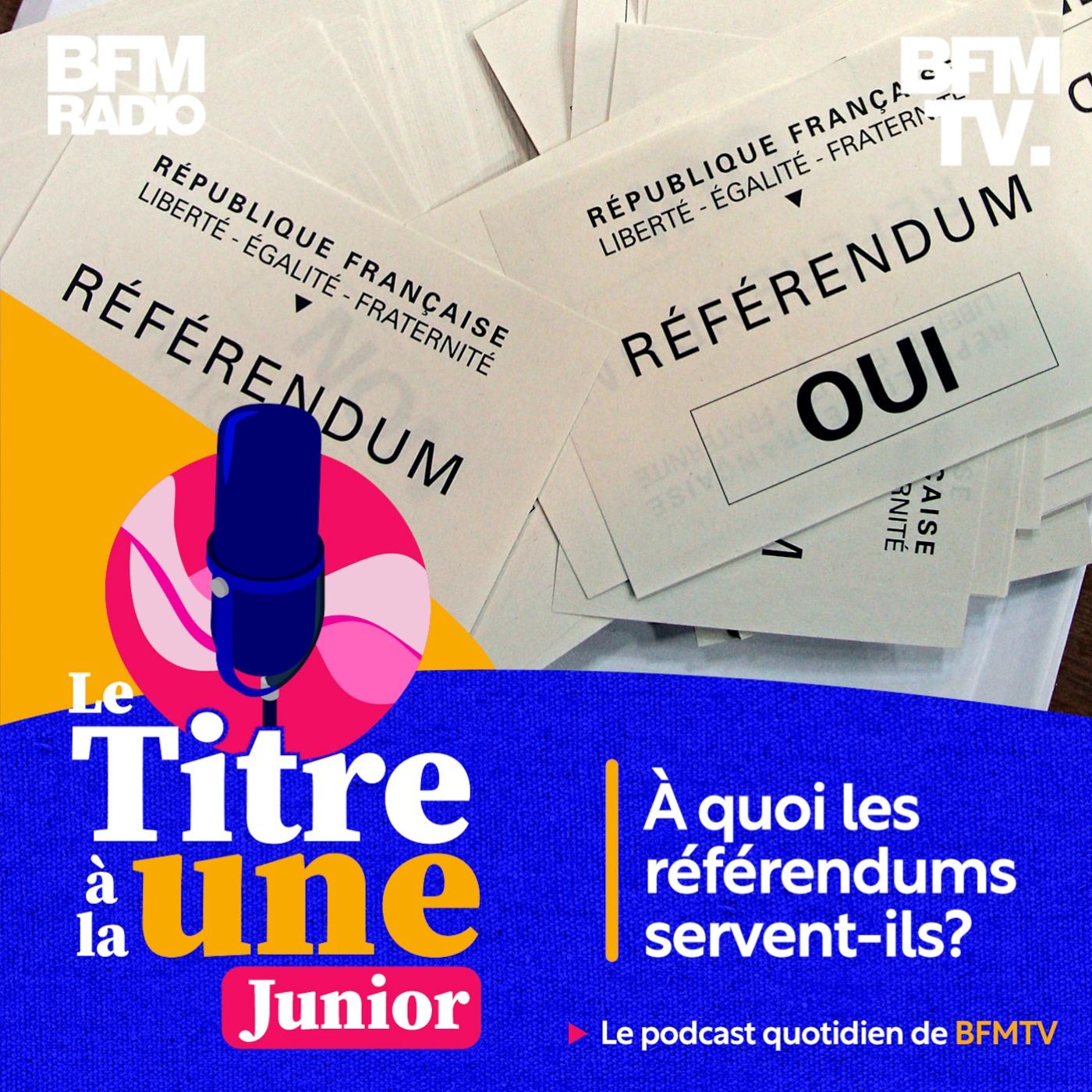 À quoi les référendums servent-ils?