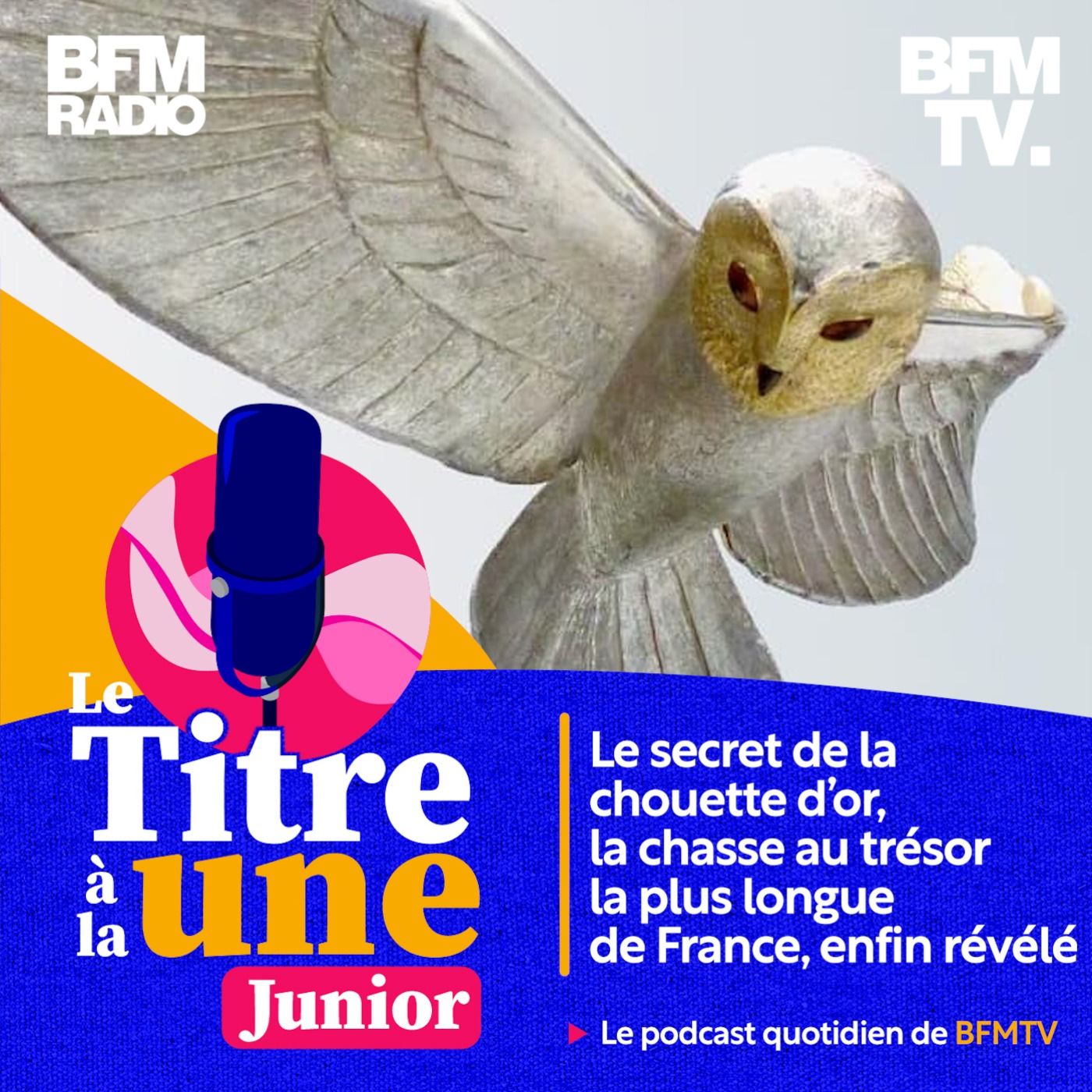 Le secret de la chouette d'or, la chasse au trésor la plus longue de France, enfin révélé