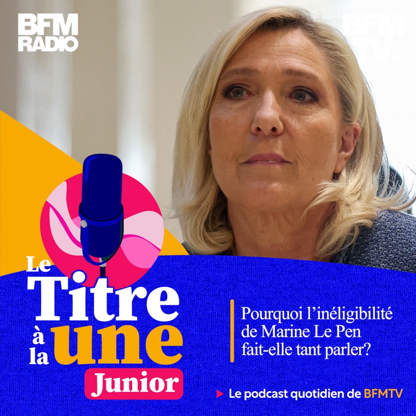 Pourquoi l'inéligibilité de Marine Le Pen fait-elle tant parler?