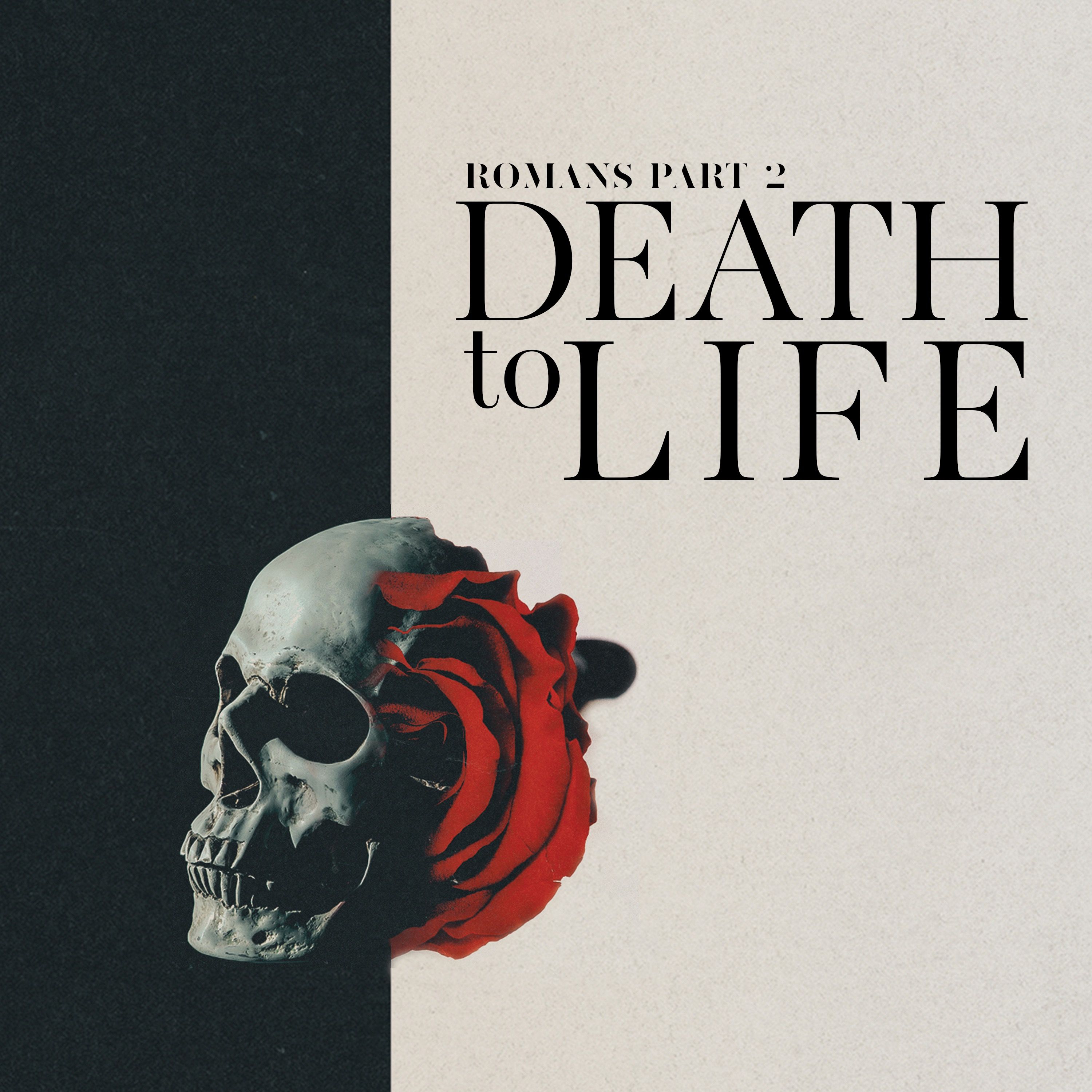 Death to Life | What Abraham Discovered On the Road From Death to Life