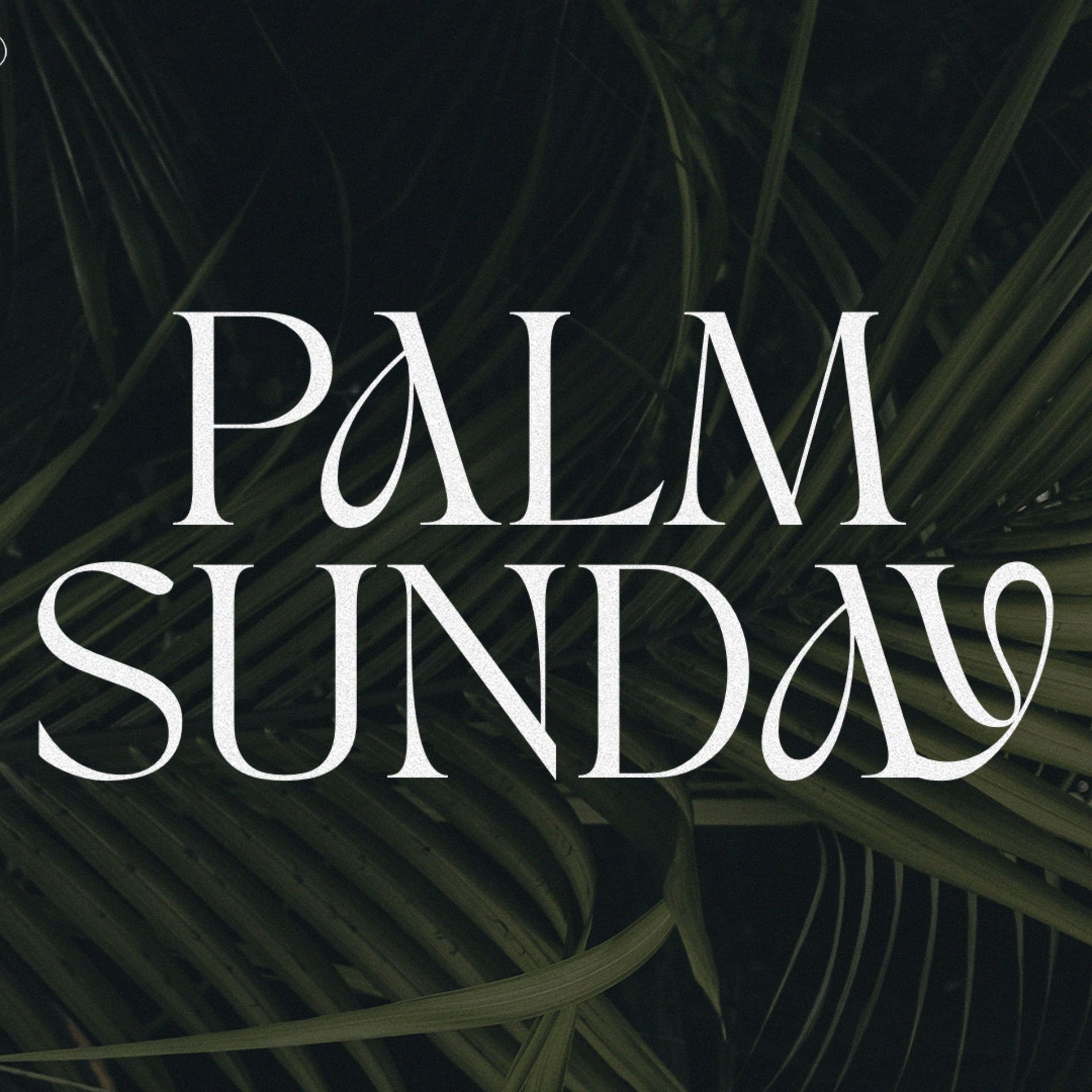Palm Sunday 2024