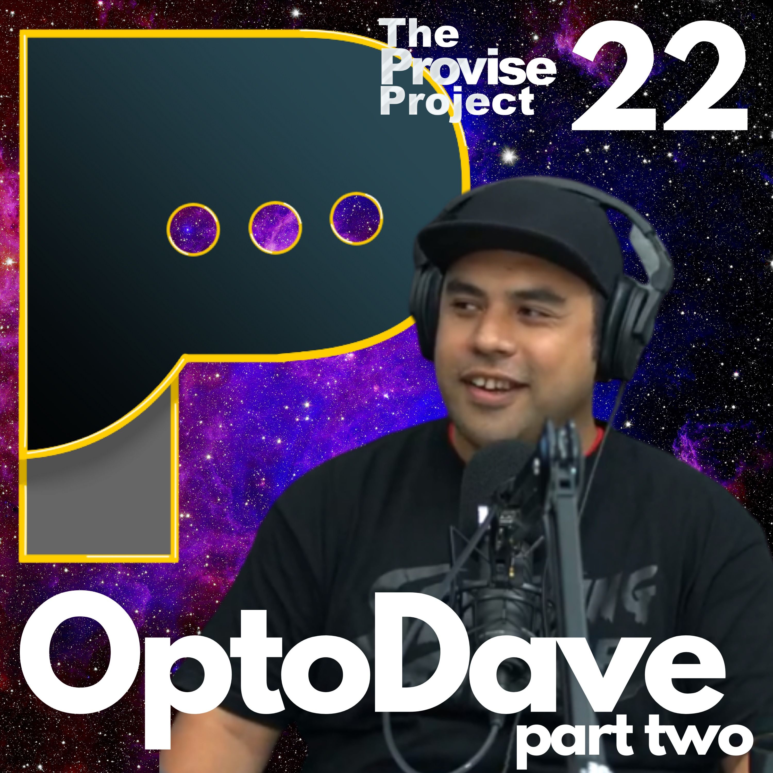 The Provise Project #22.5 - OptoDave Part 2
