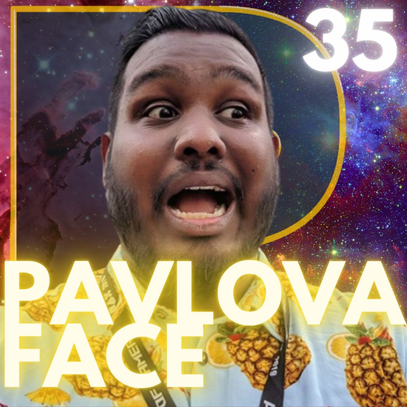 The Provise Project #36 - Pavlova Face