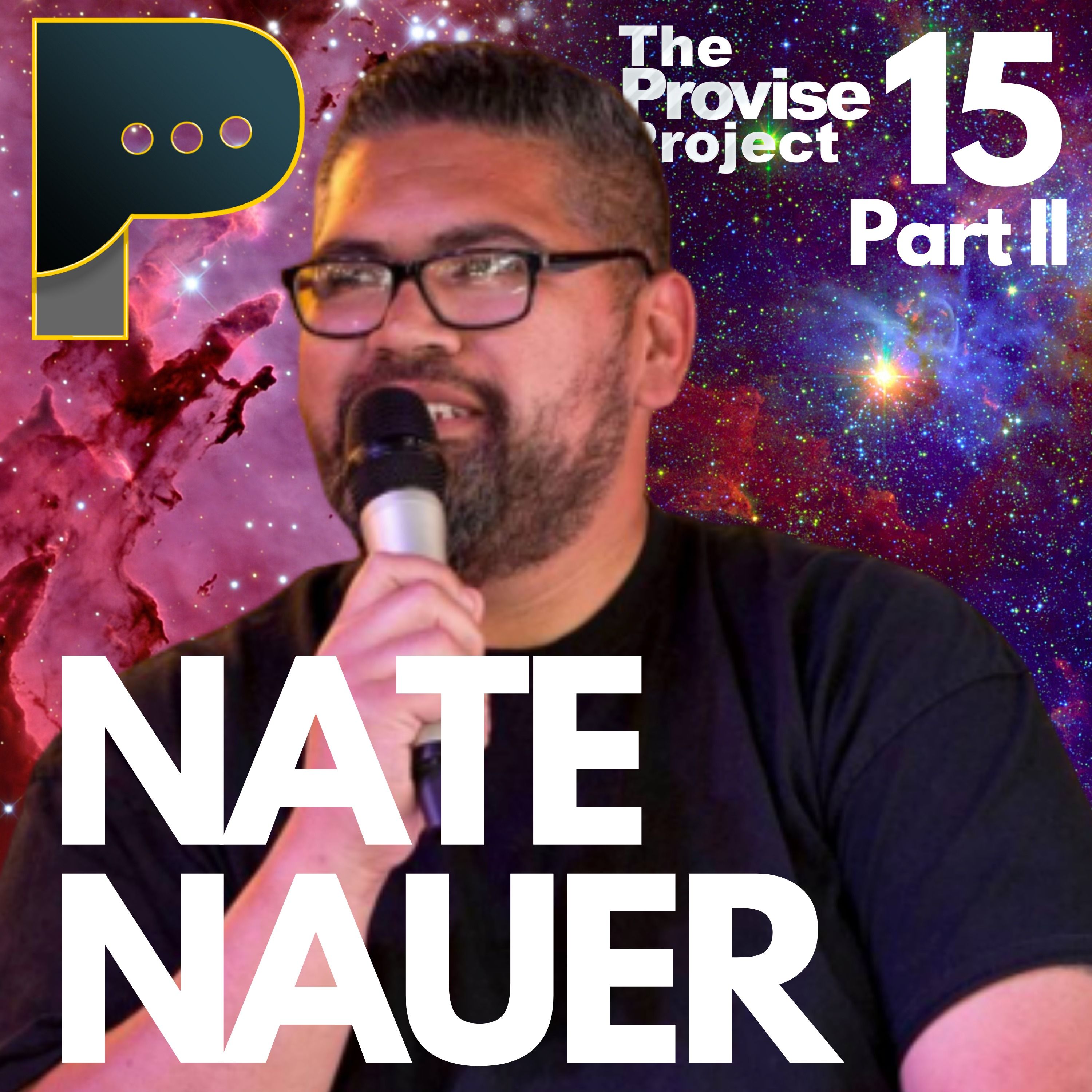 The Provise Project #15 - Nate Nauer Part 2