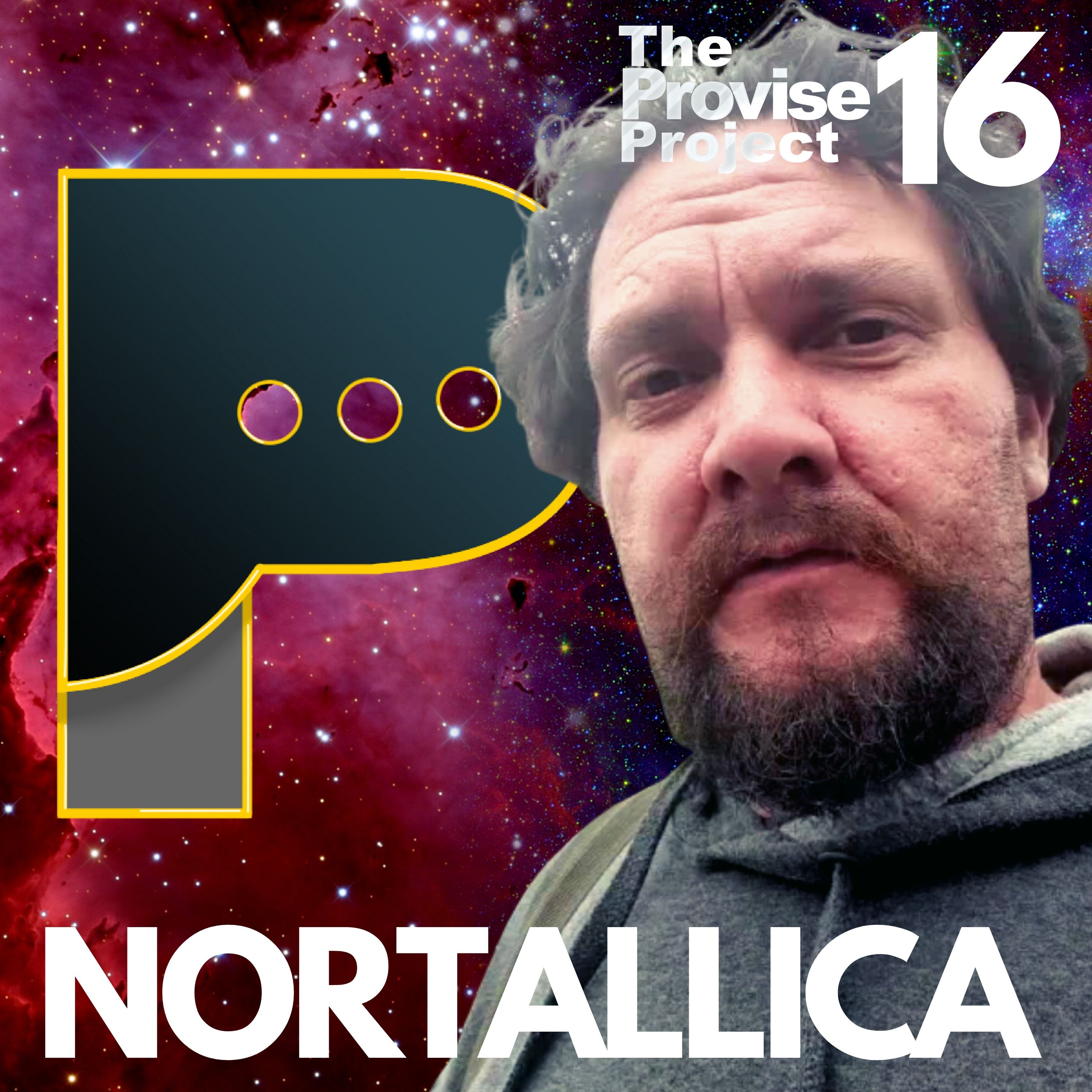 The Provise Project #16 - Nortallica
